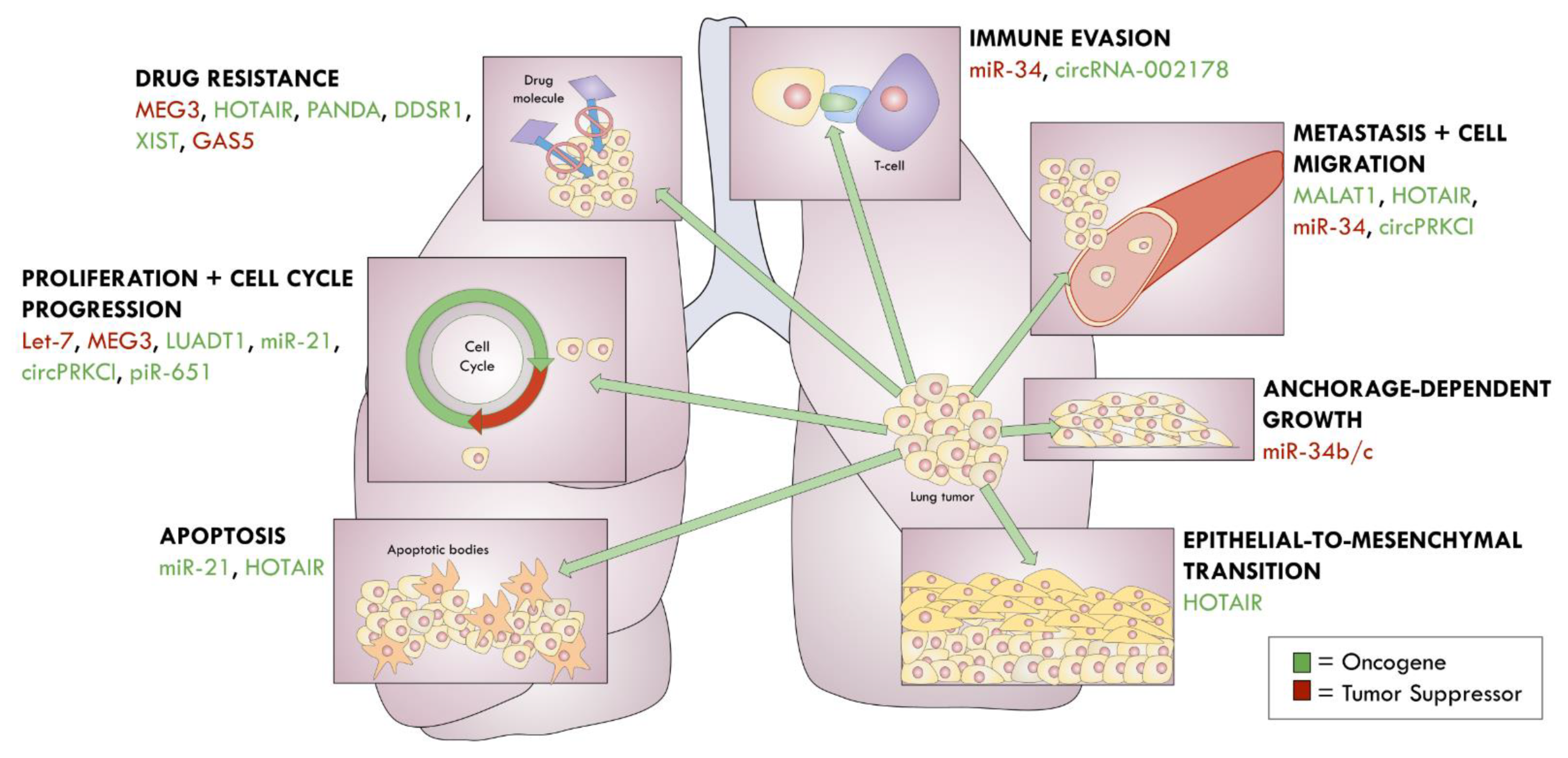 Cancers 13 01372 g003