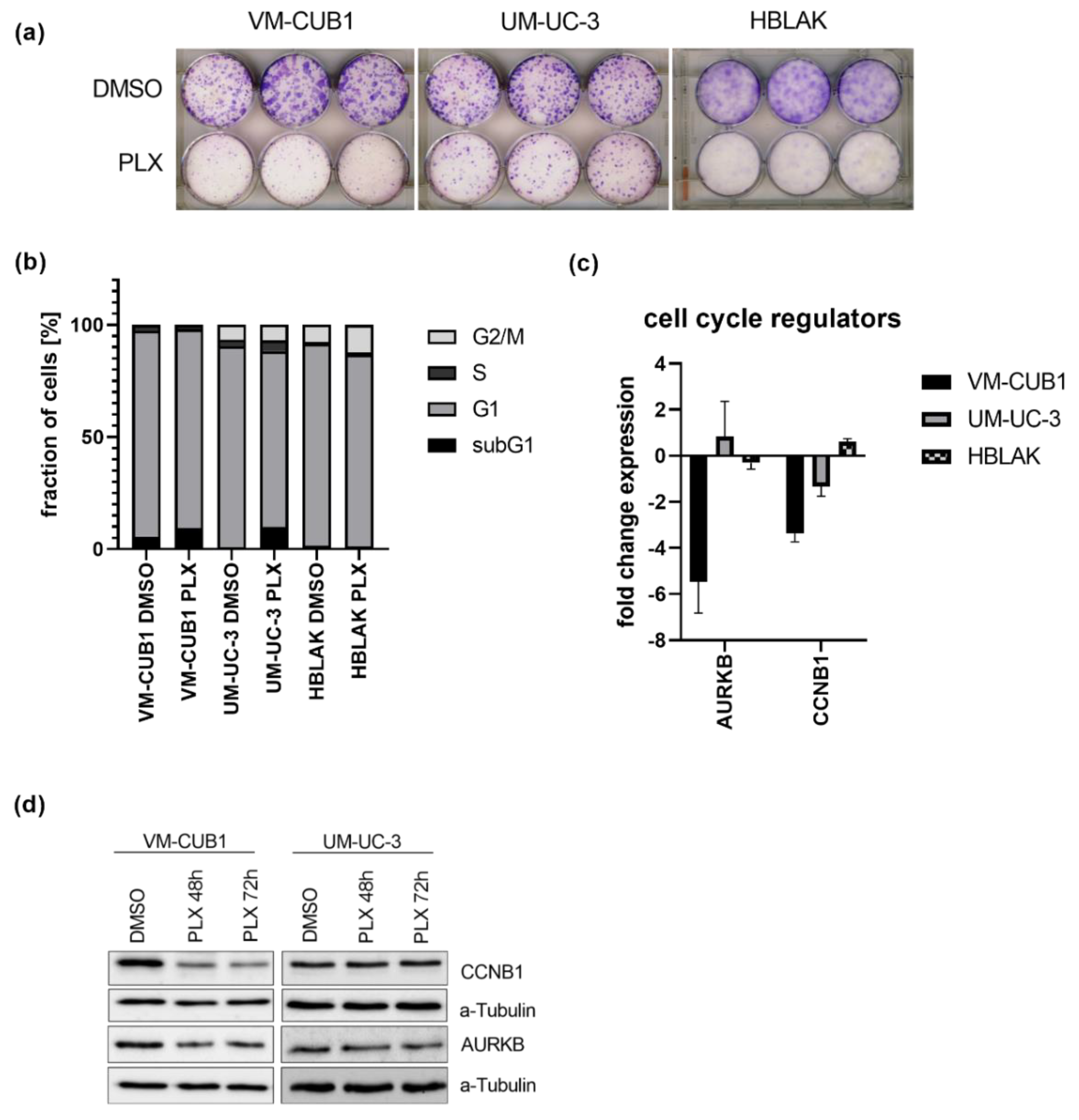 Cancers 13 01376 g001 Cancers 13 01376 g001