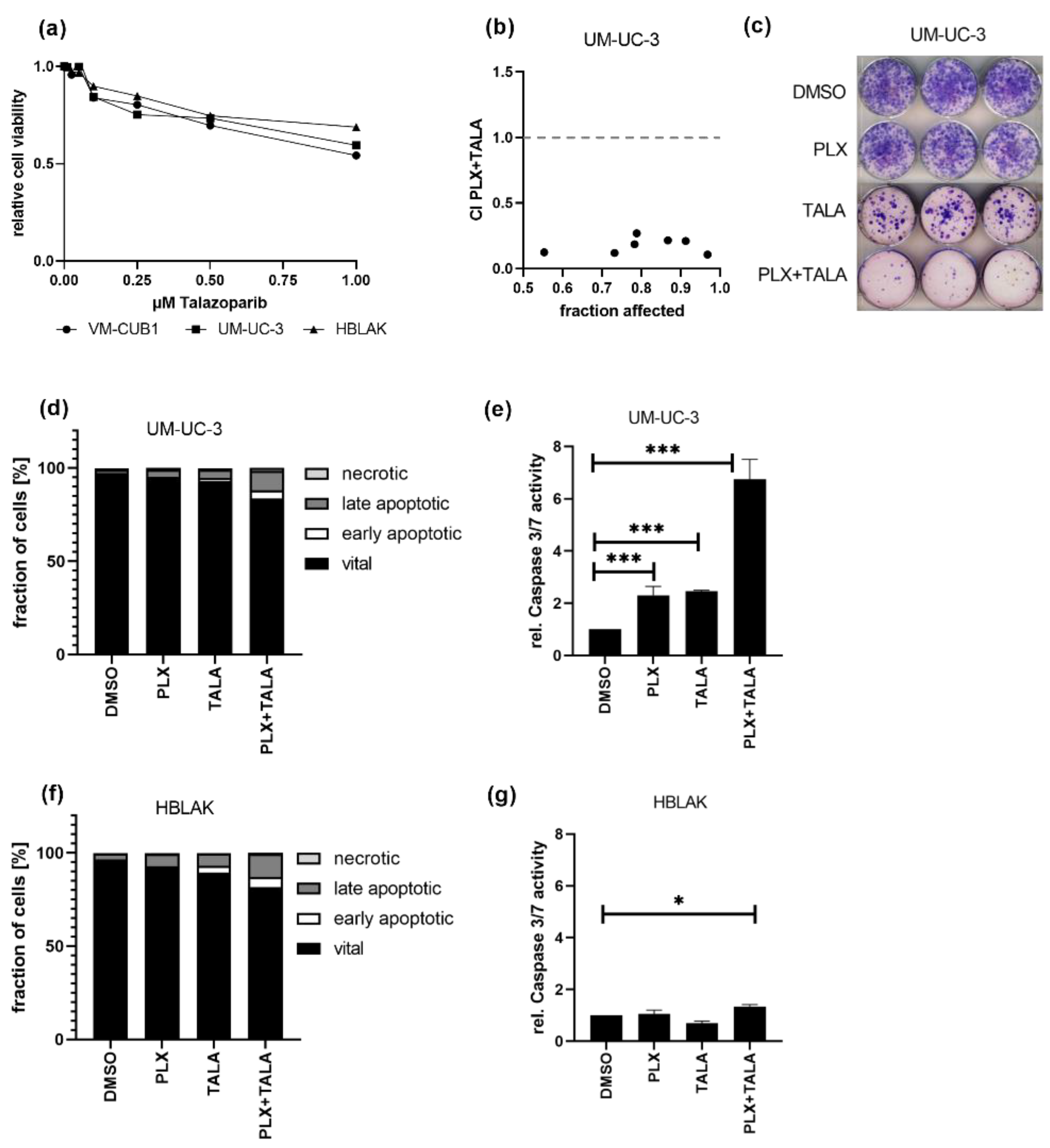 Cancers 13 01376 g007 Cancers 13 01376 g007