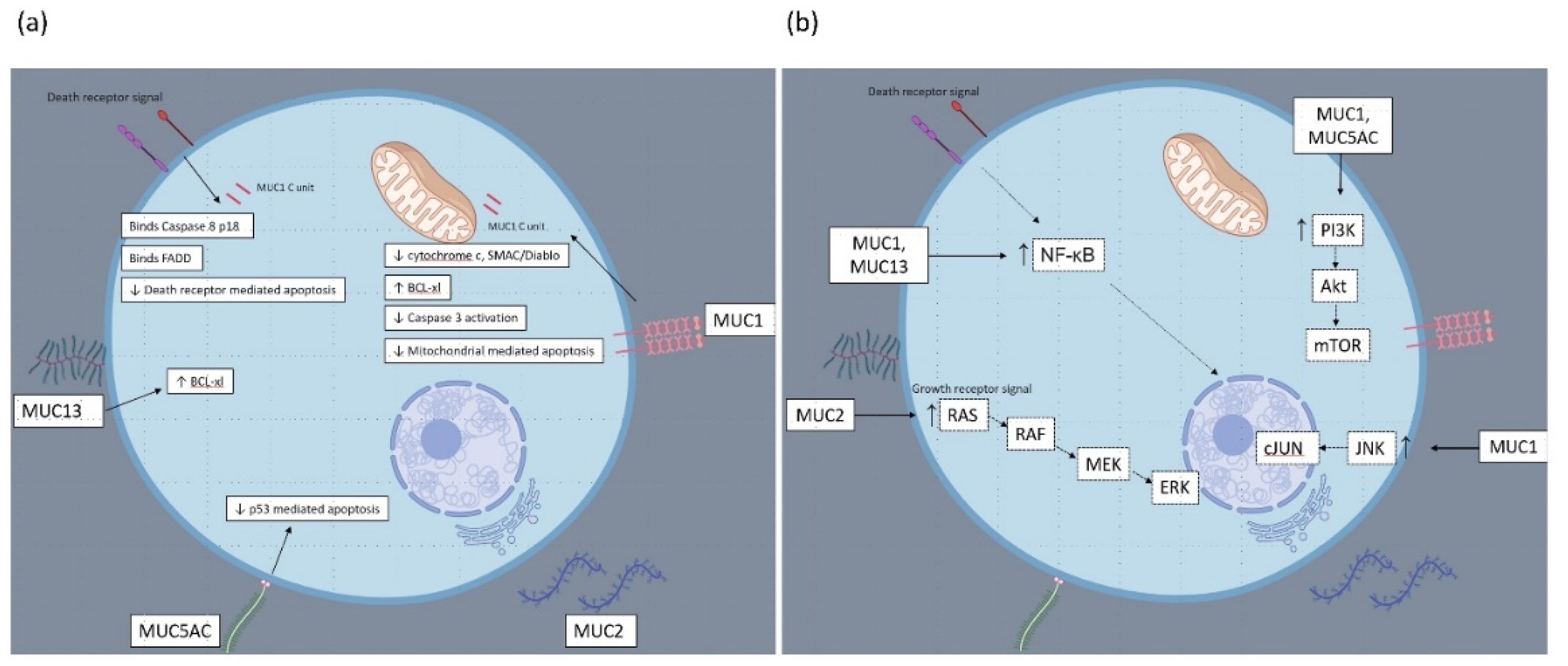 Cancers 13 01389 g002