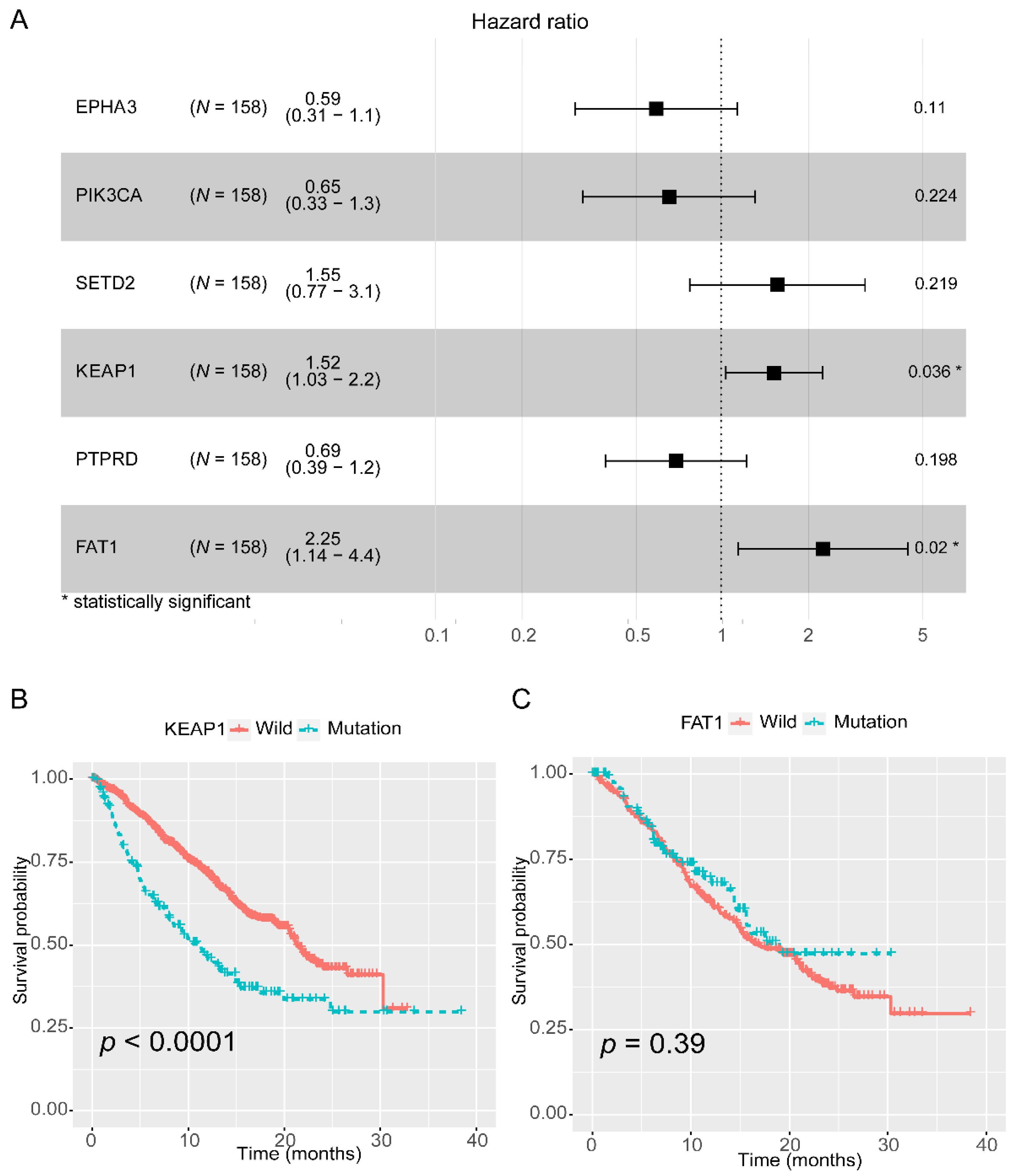 Cancers 13 01397 g001
