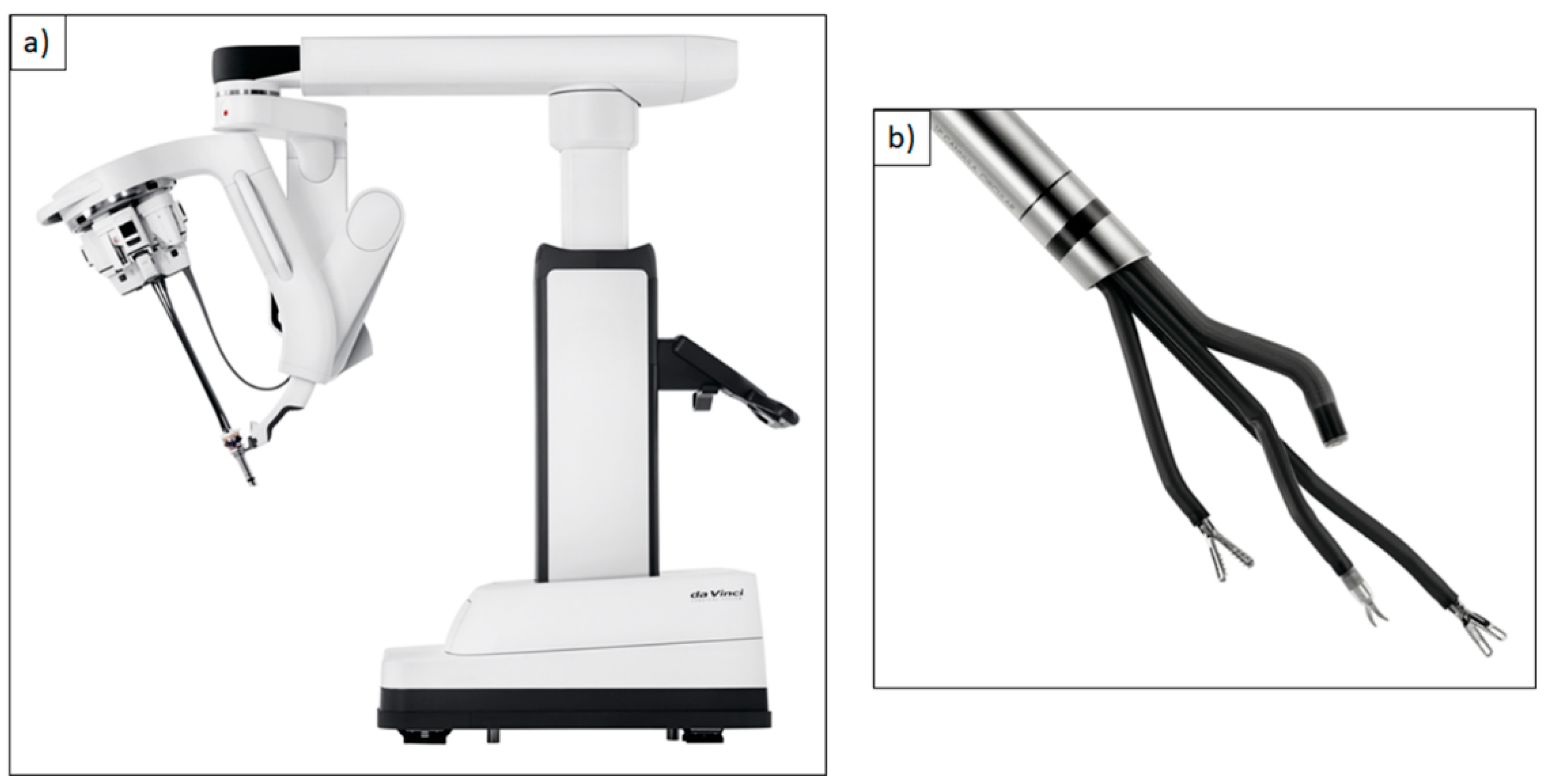 Cancers 13 01398 g003