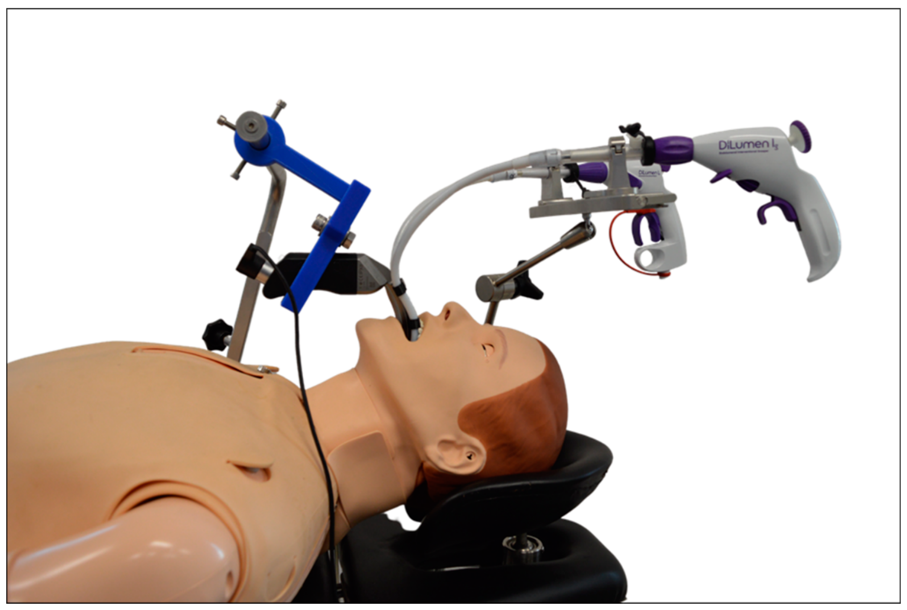 Cancers 13 01398 g005