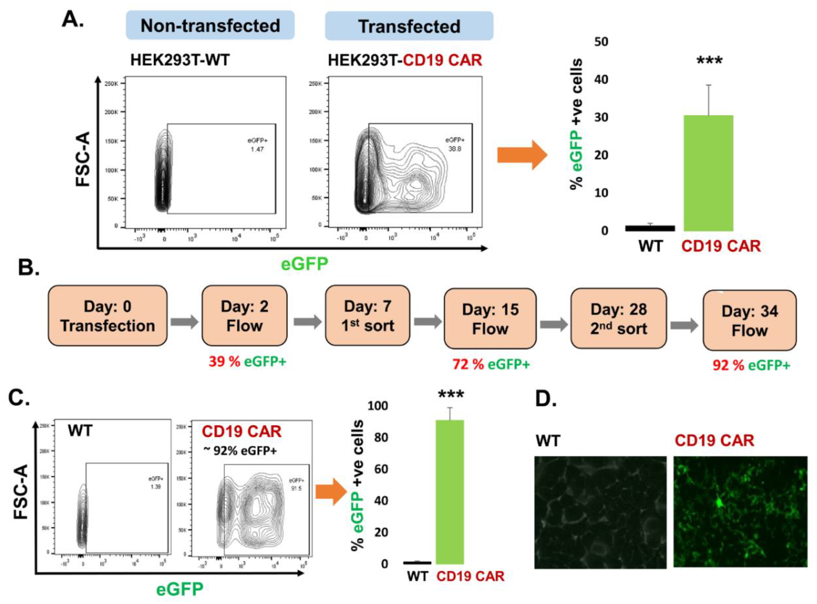 Cancers 13 01401 g001
