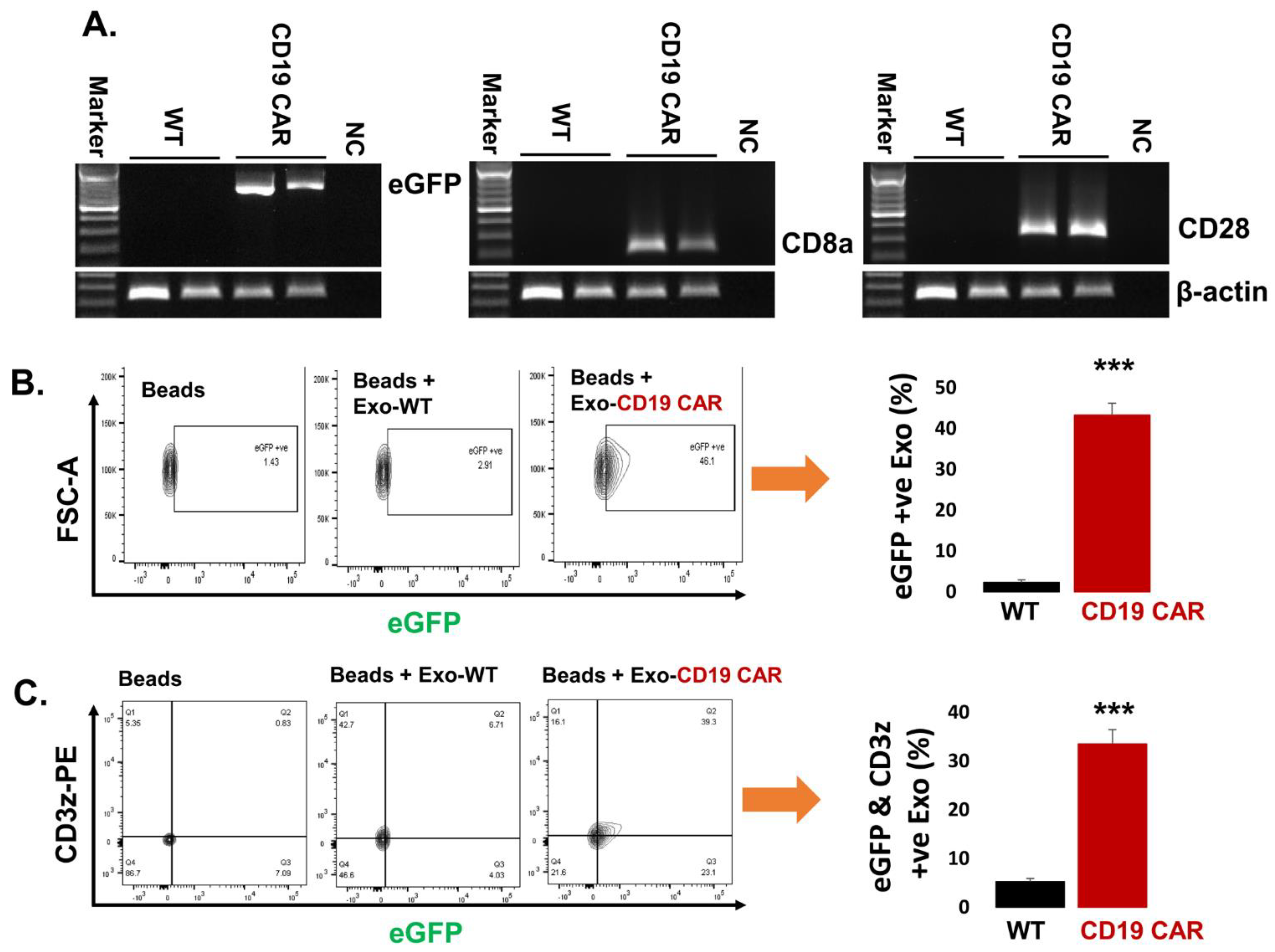 Cancers 13 01401 g004