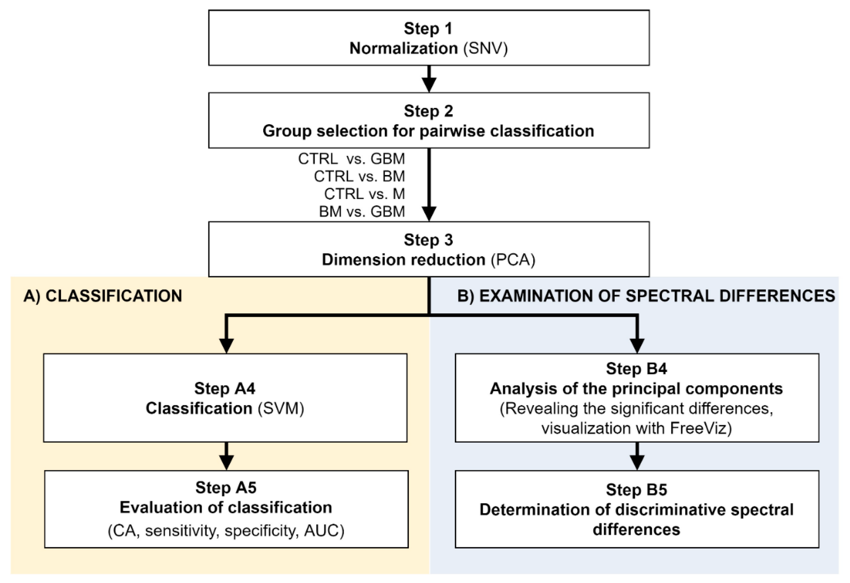 Cancers 13 01407 g002 Cancers 13 01407 g002