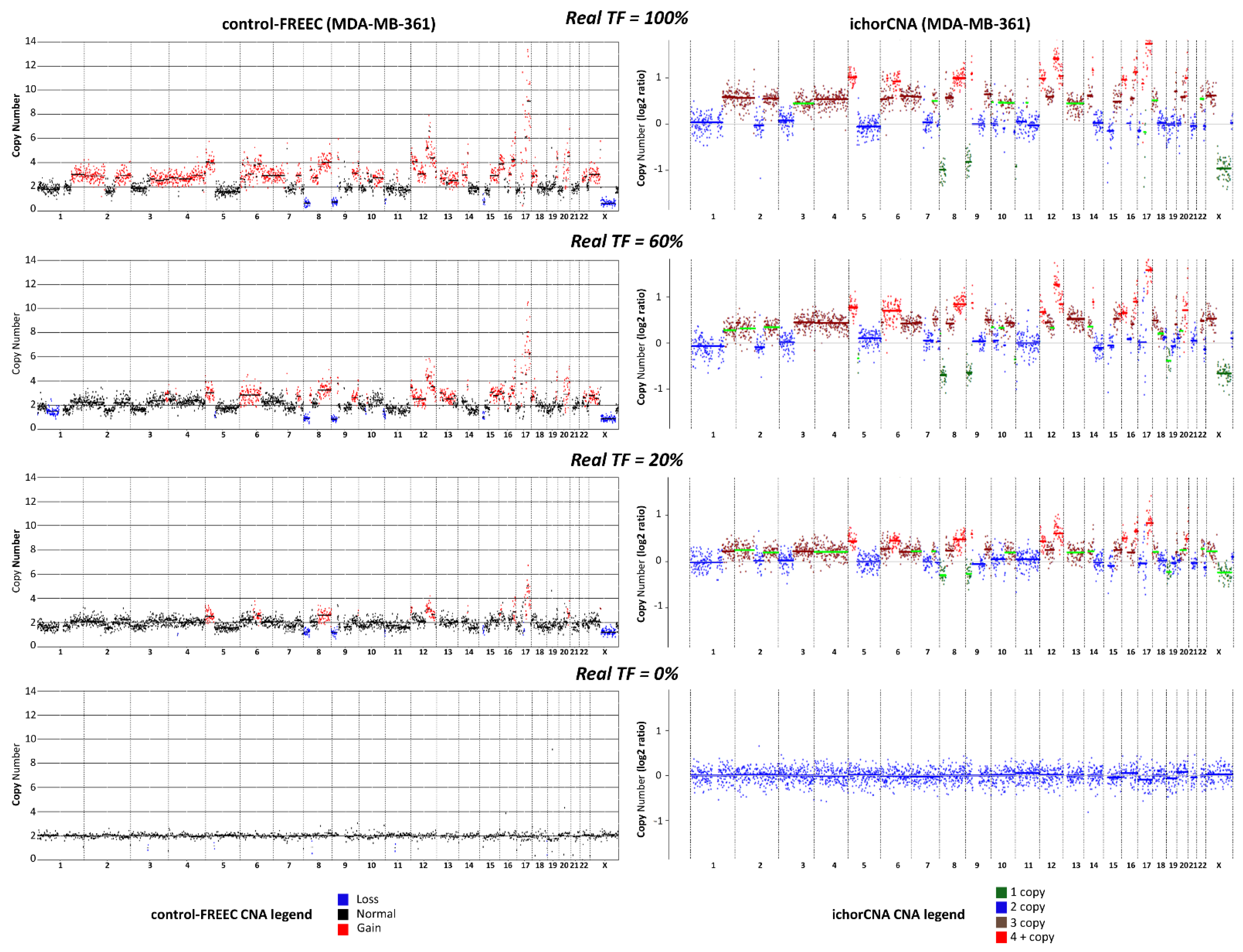 Cancers 13 01409 g001