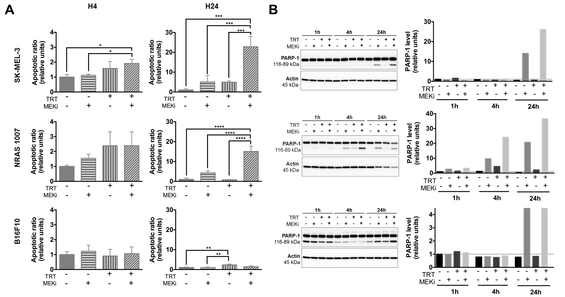 Cancers 13 01421 g001 Cancers 13 01421 g001