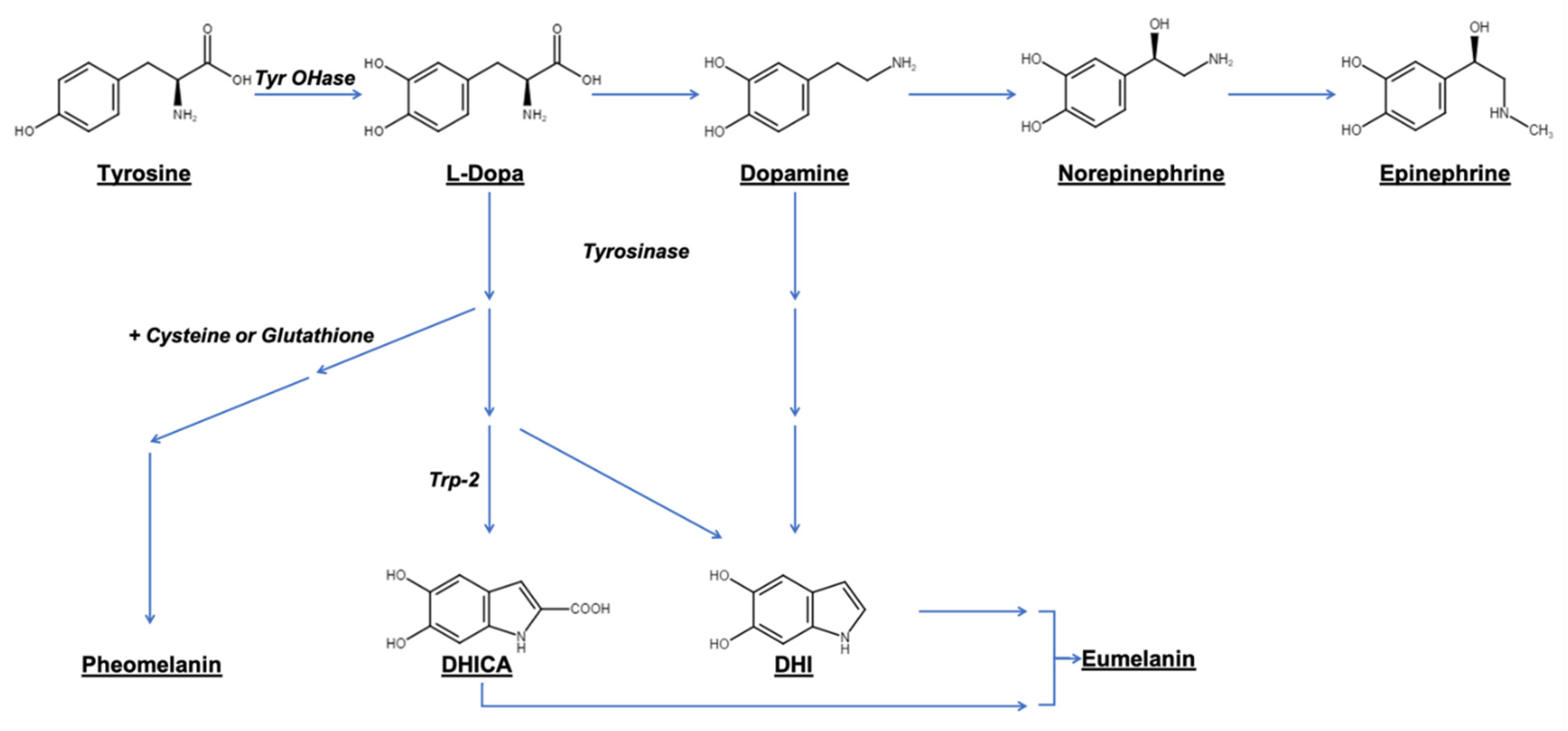 Cancers 13 01463 g002 Cancers 13 01463 g002