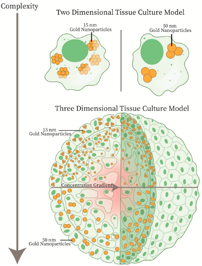 Cancers 13 01465 g001