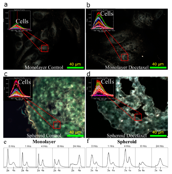 Cancers 13 01465 g003