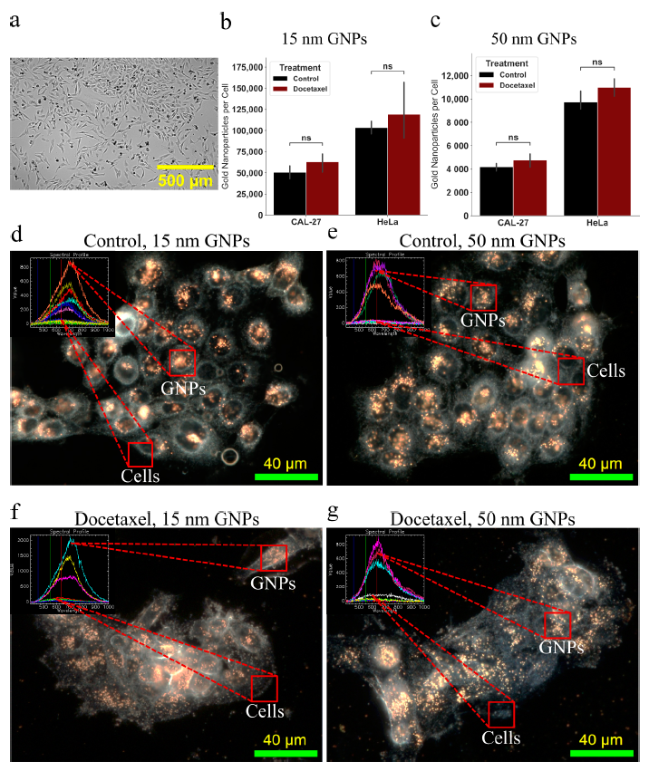 Cancers 13 01465 g004