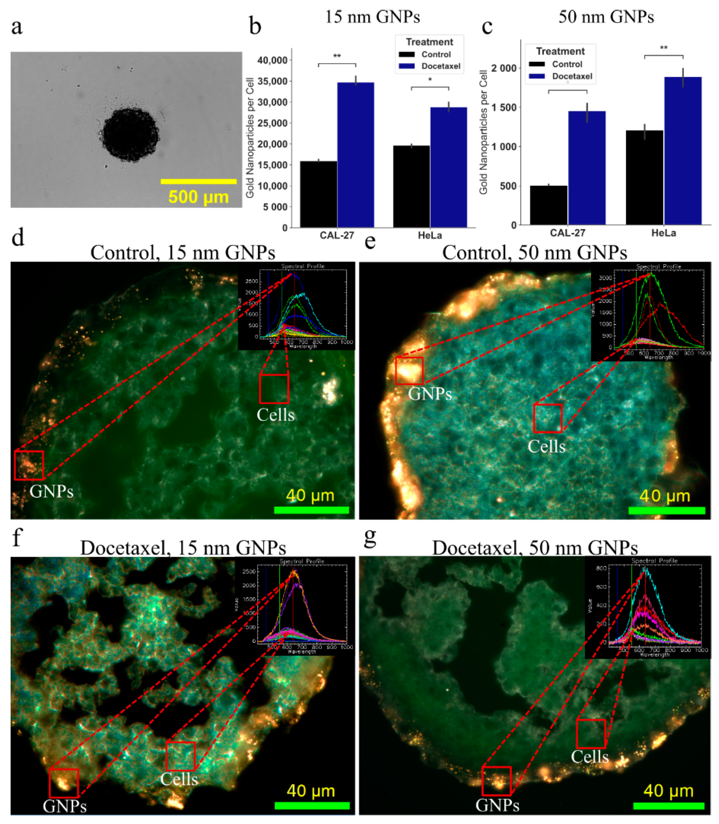 Cancers 13 01465 g005