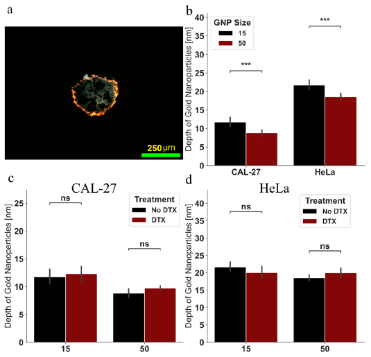 Cancers 13 01465 g006