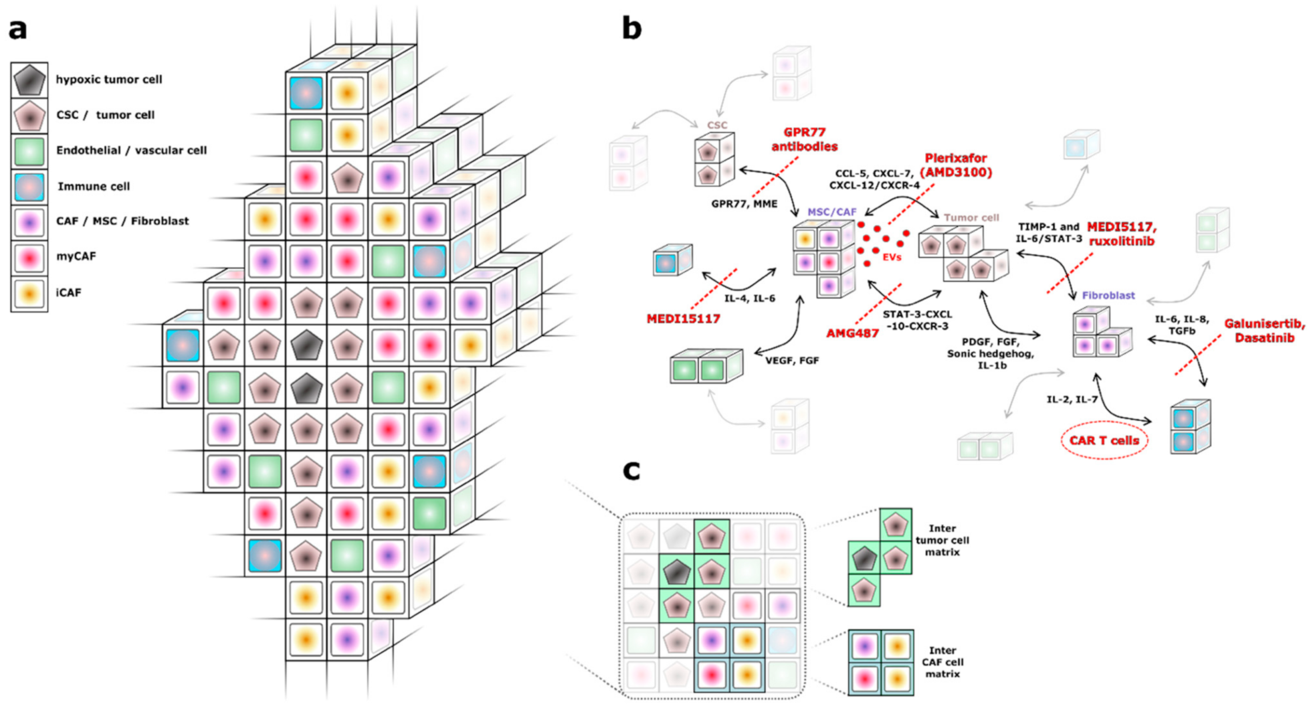 Cancers 13 01466 g001