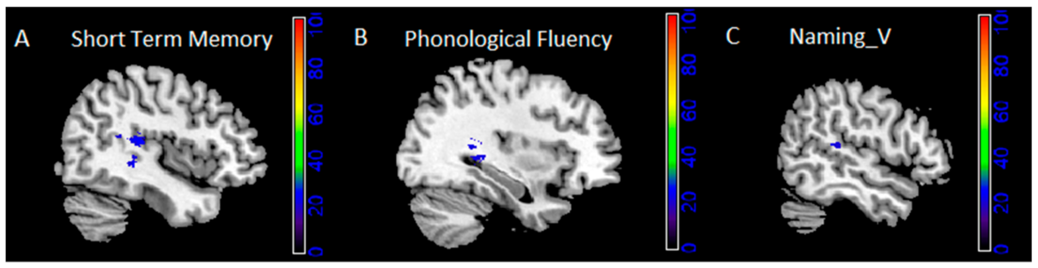 Cancers 13 01467 g002