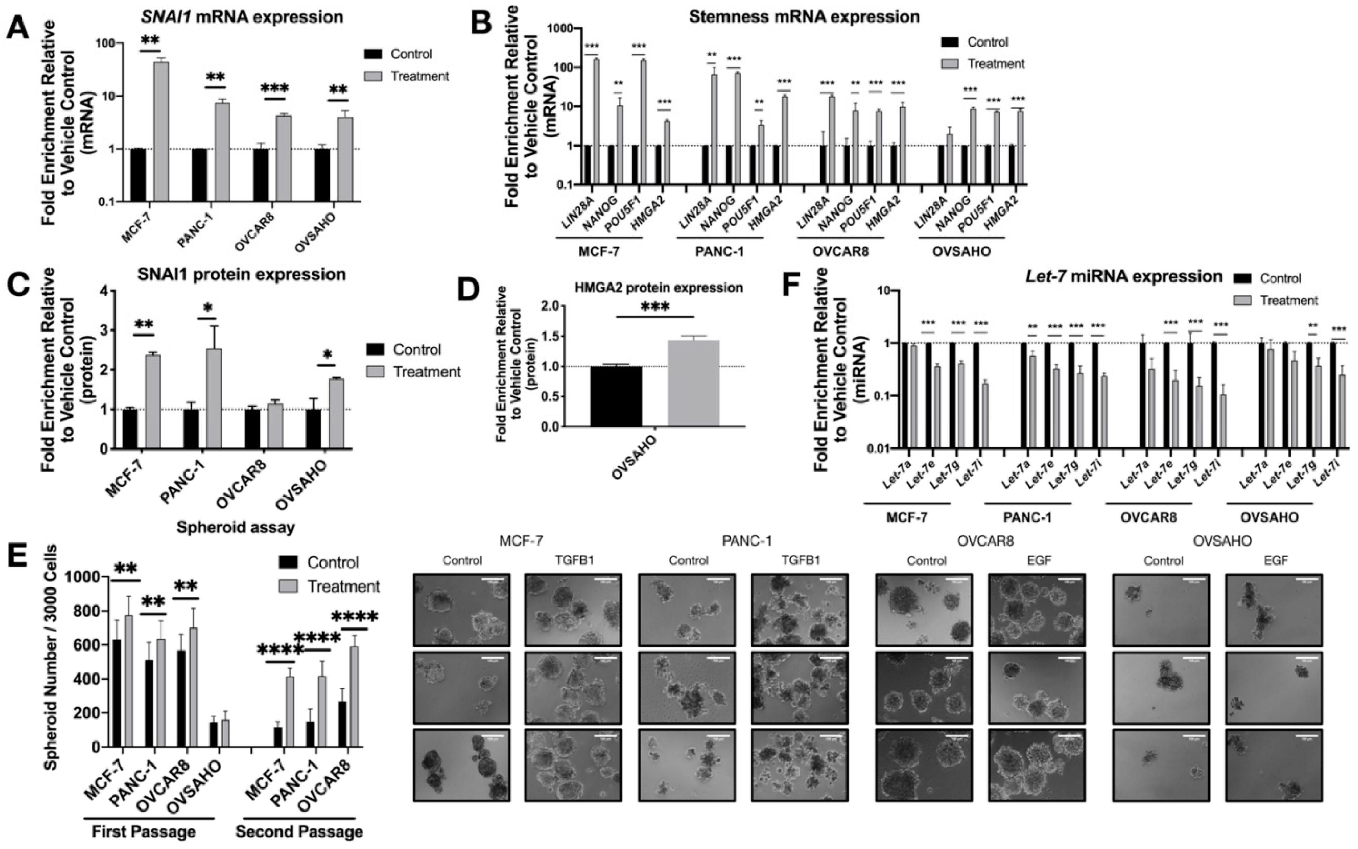 Cancers 13 01469 g001