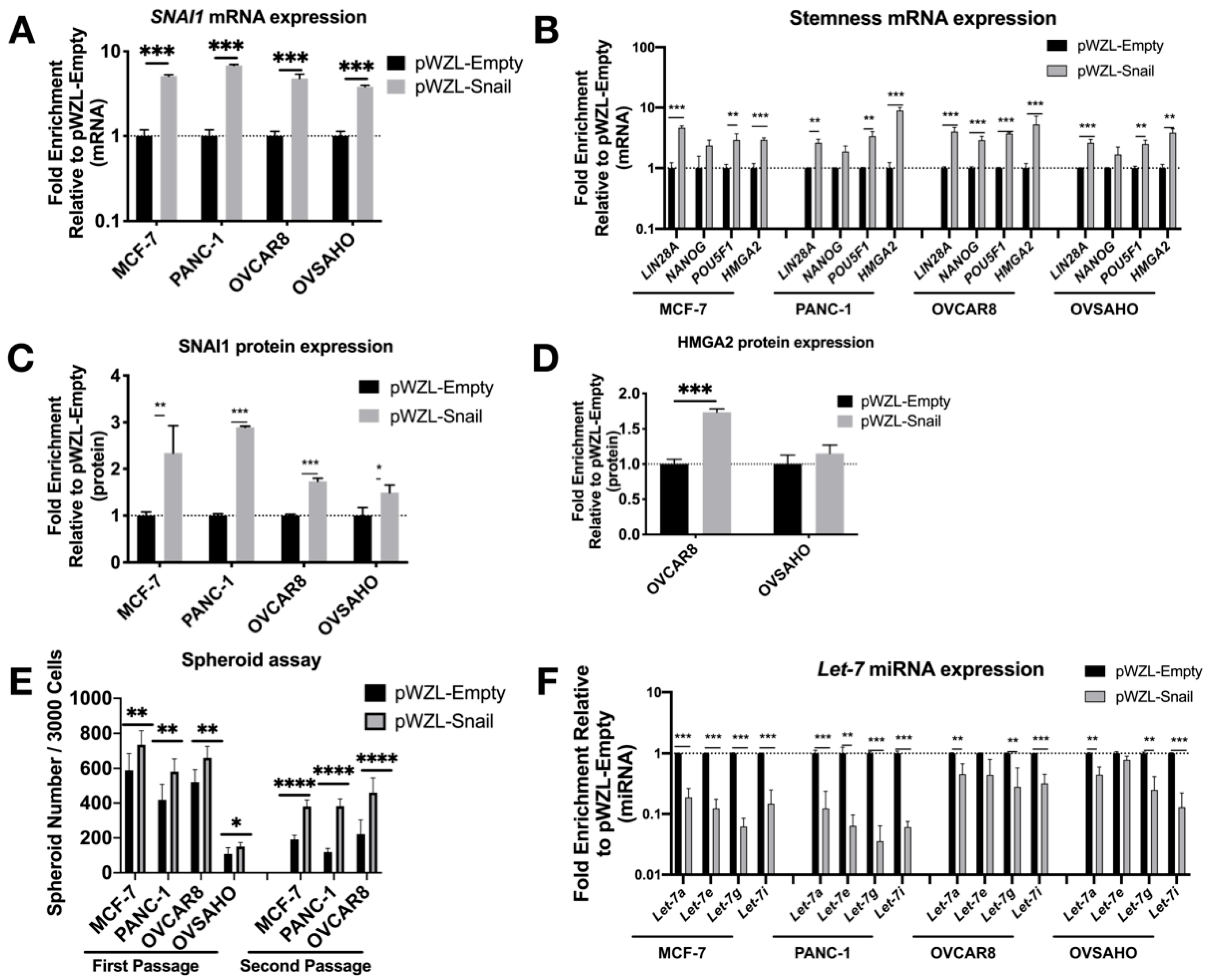 Cancers 13 01469 g002