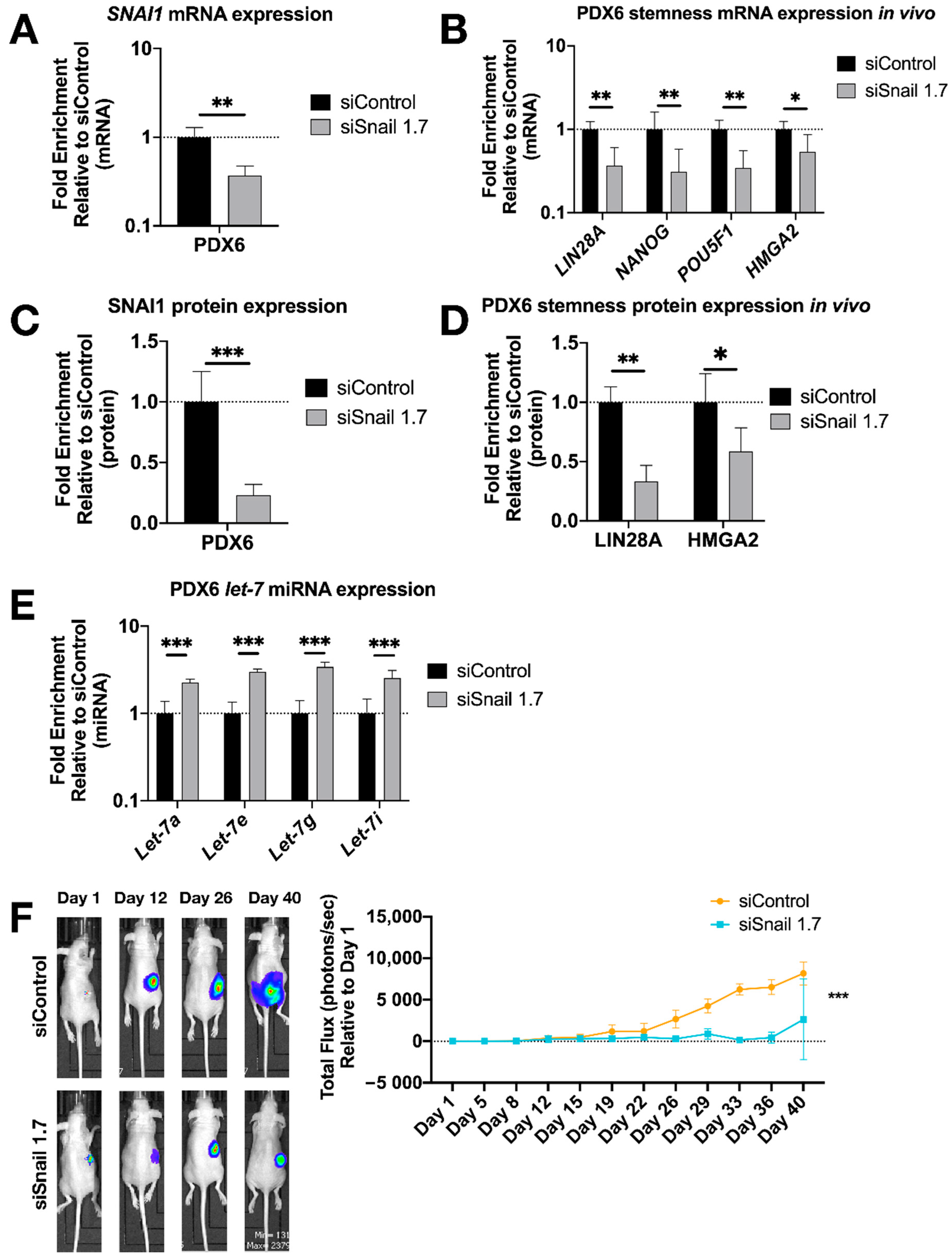 Cancers 13 01469 g005