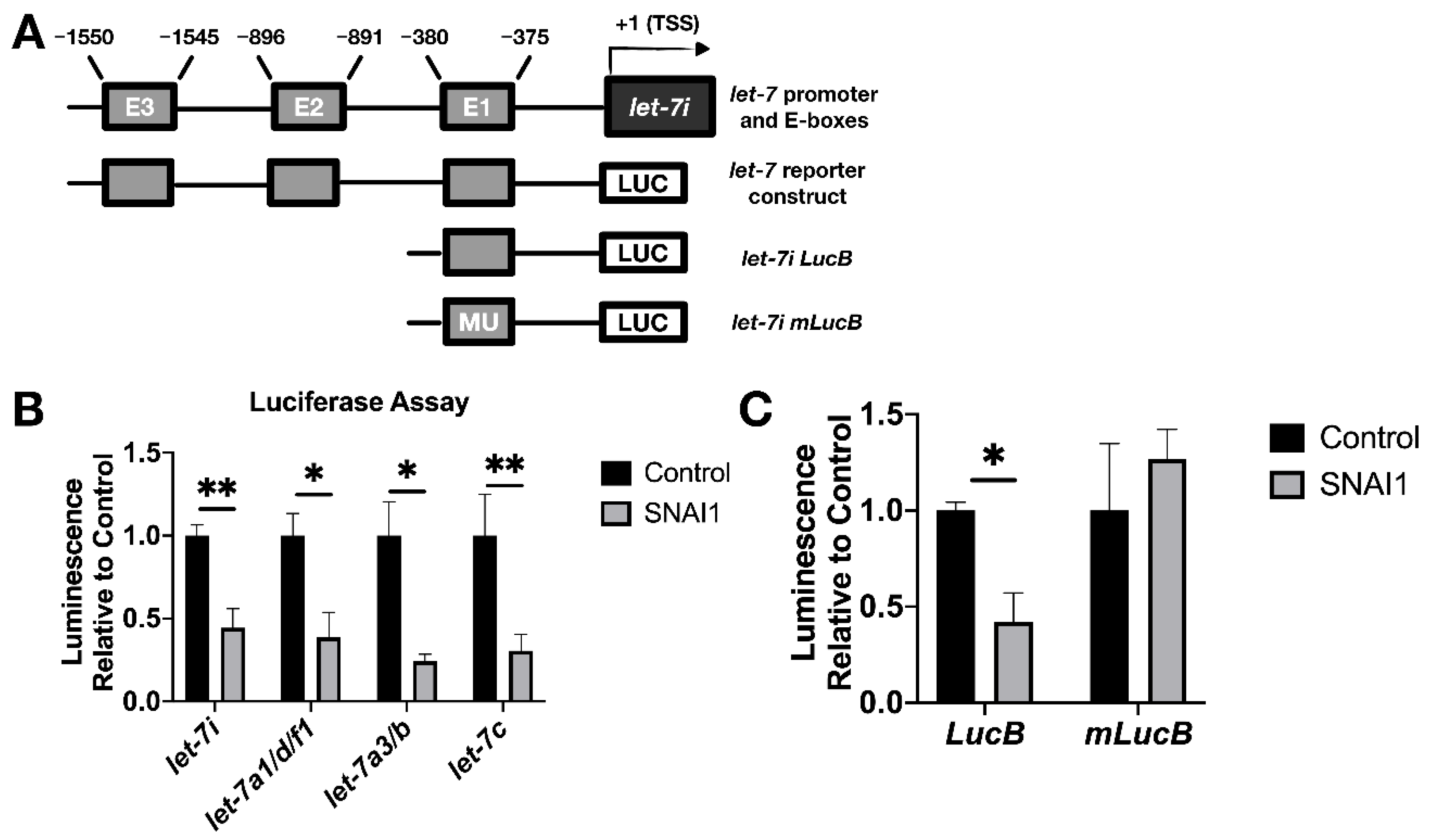 Cancers 13 01469 g006