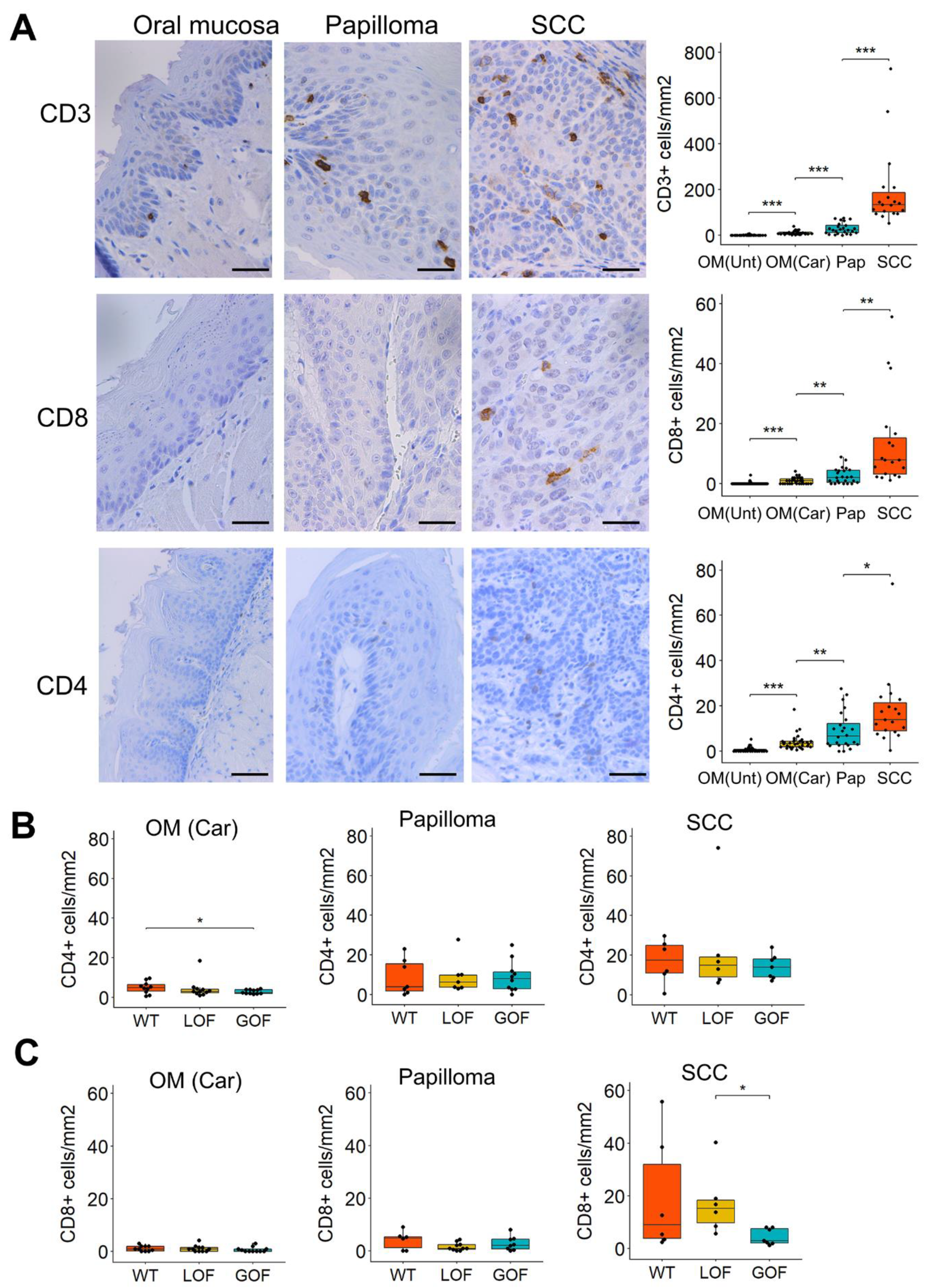 Cancers 13 01471 g002