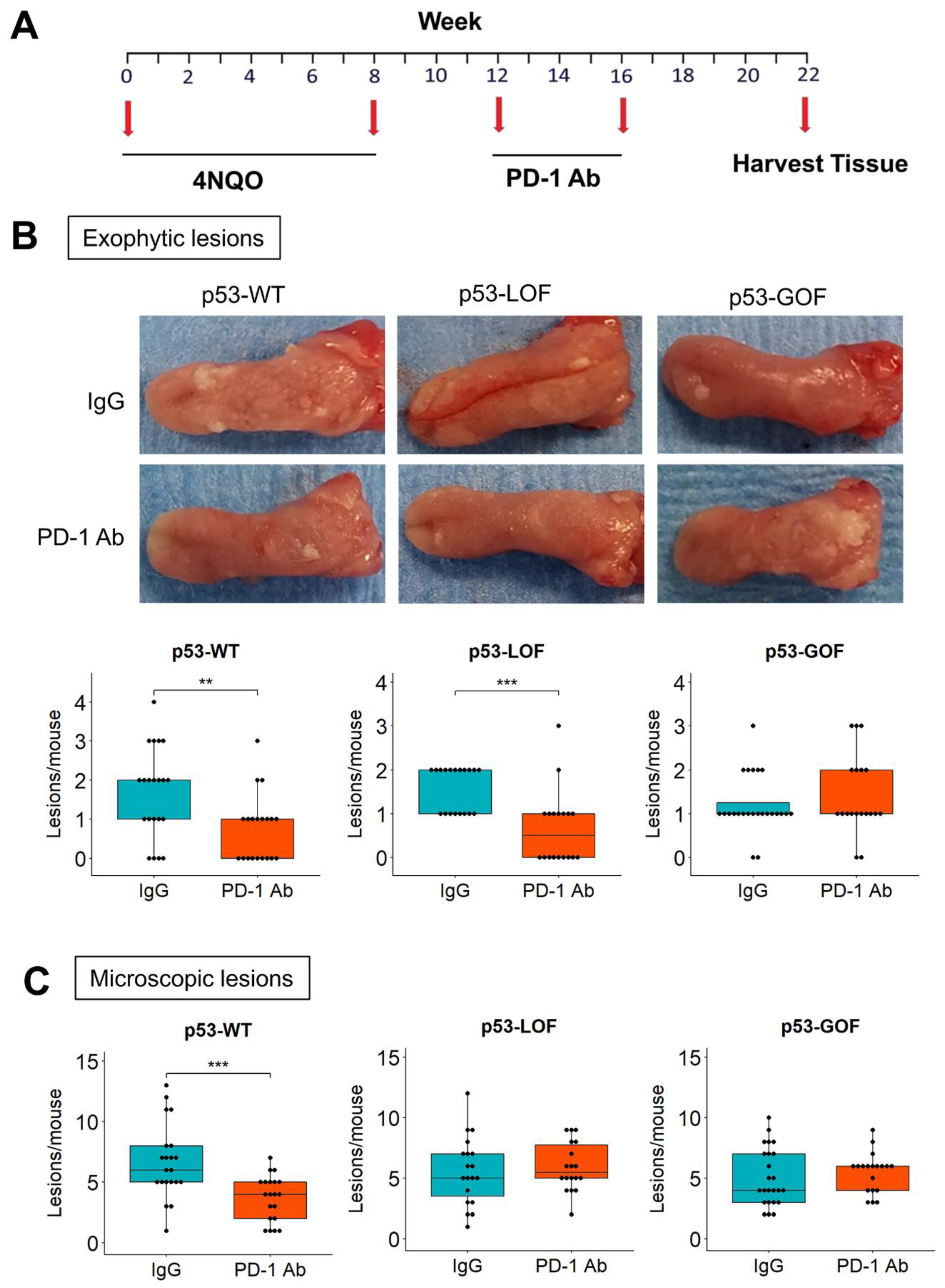 Cancers 13 01471 g004