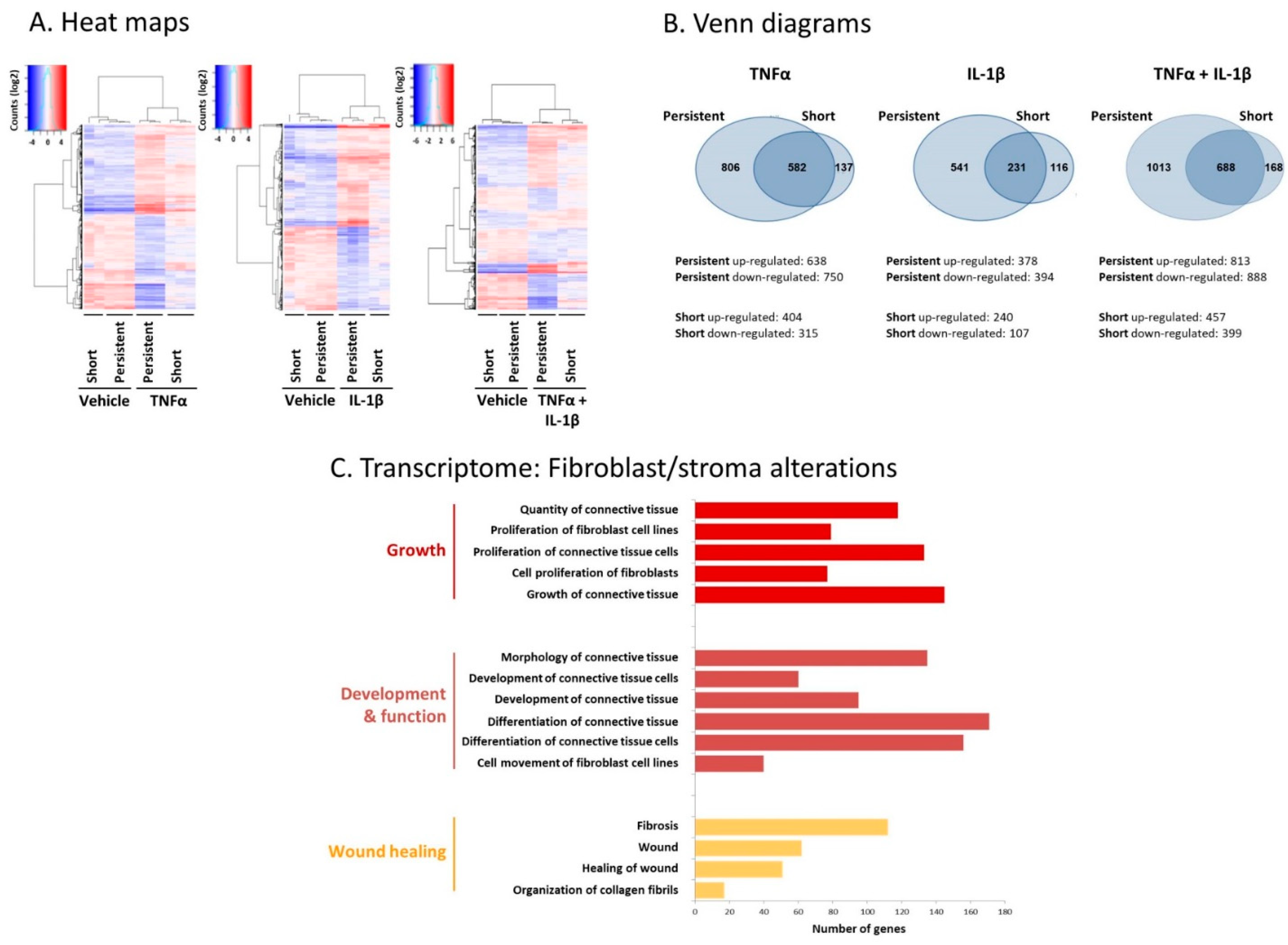 Cancers 13 01472 g002