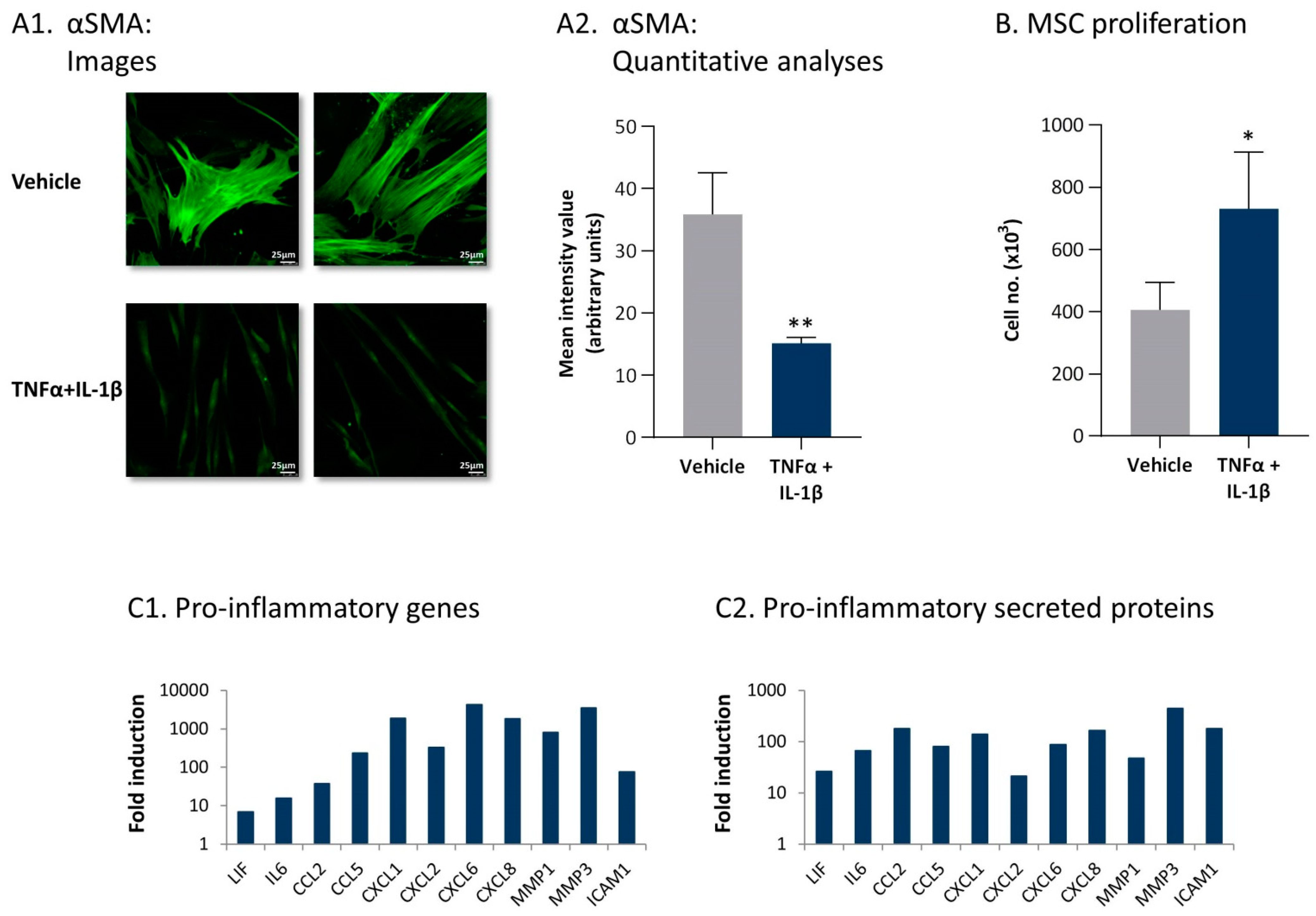 Cancers 13 01472 g005