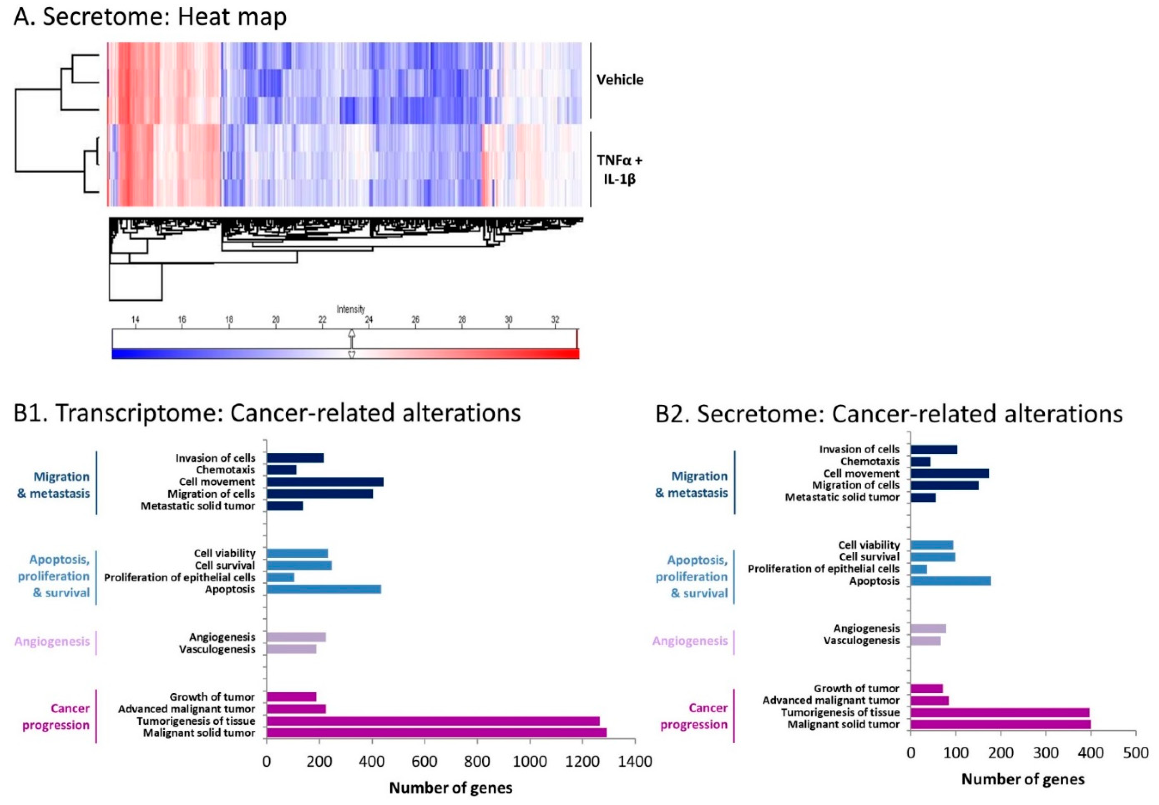 Cancers 13 01472 g006