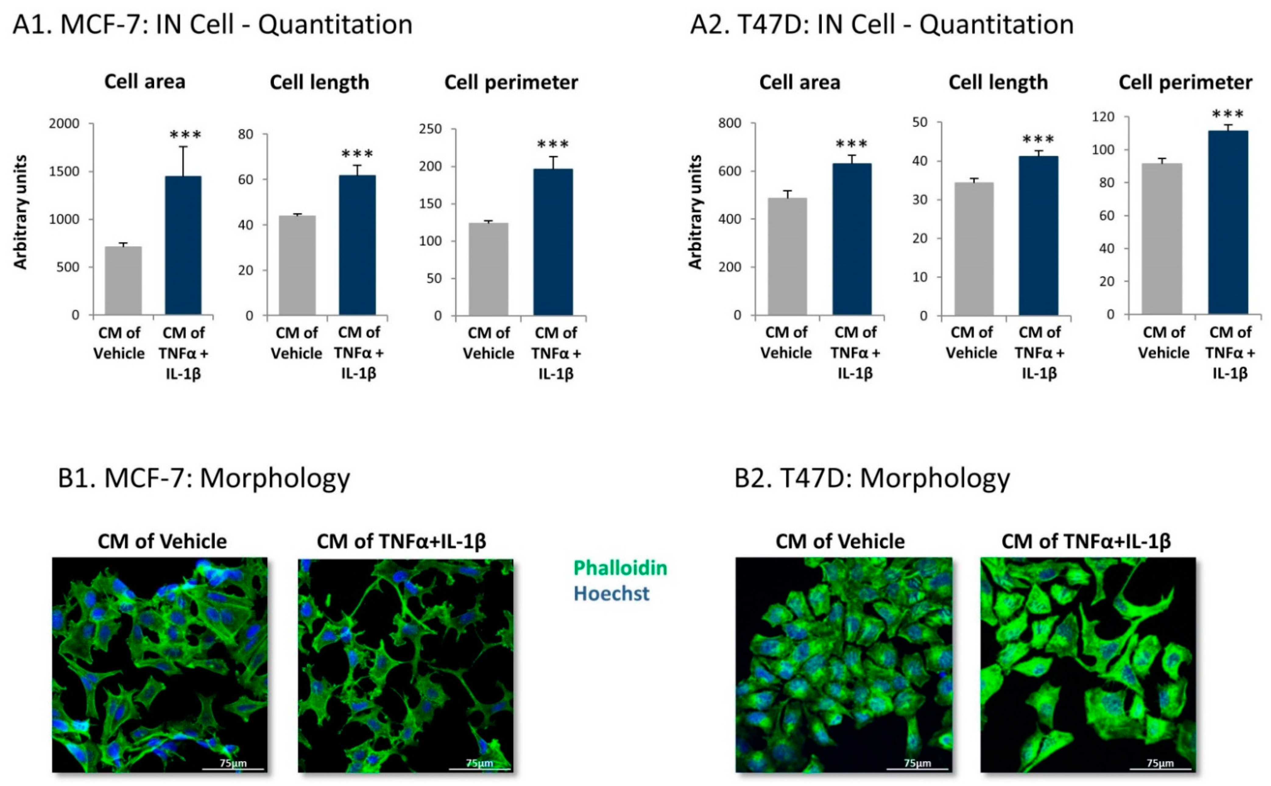 Cancers 13 01472 g007