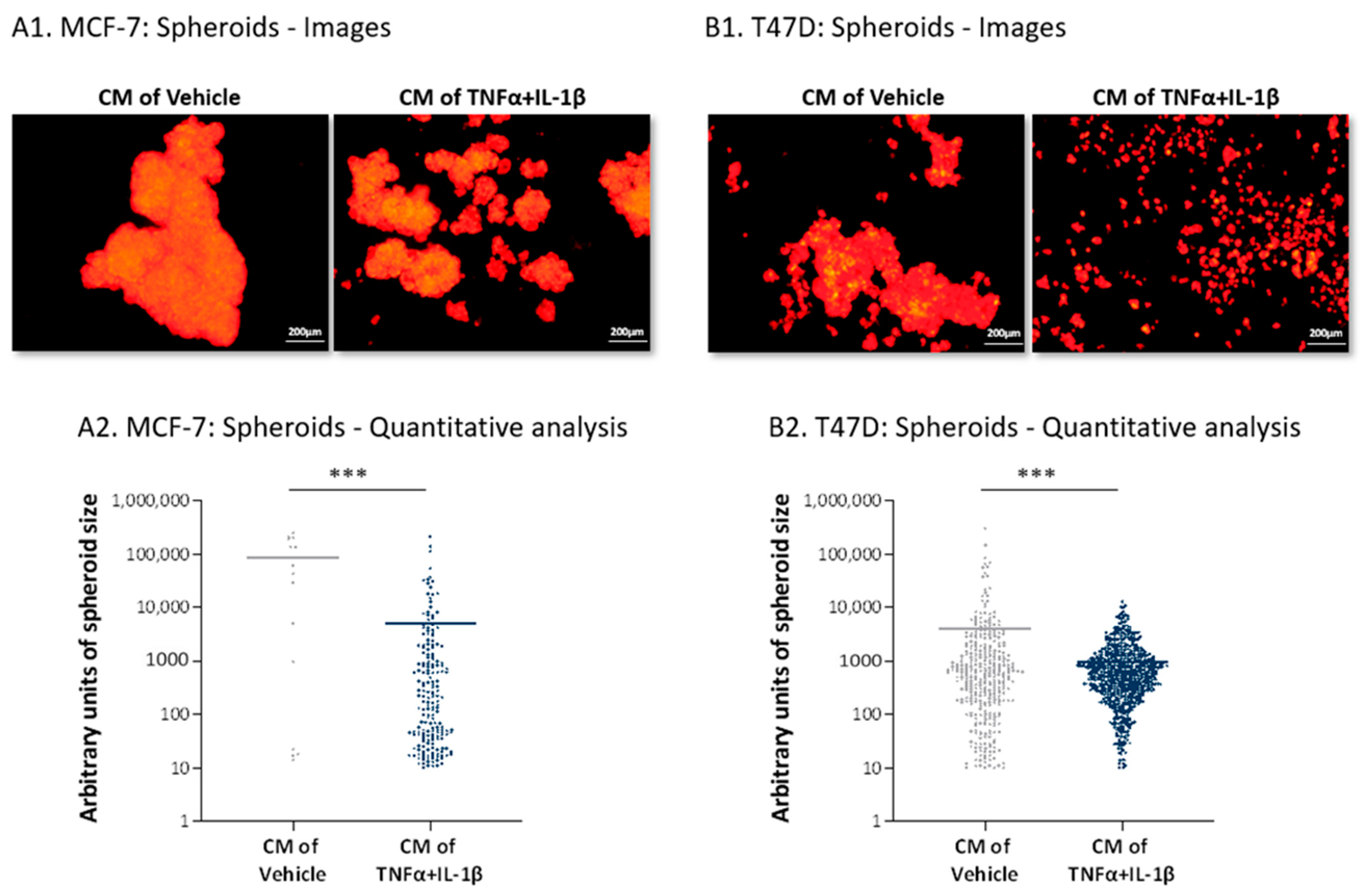 Cancers 13 01472 g008
