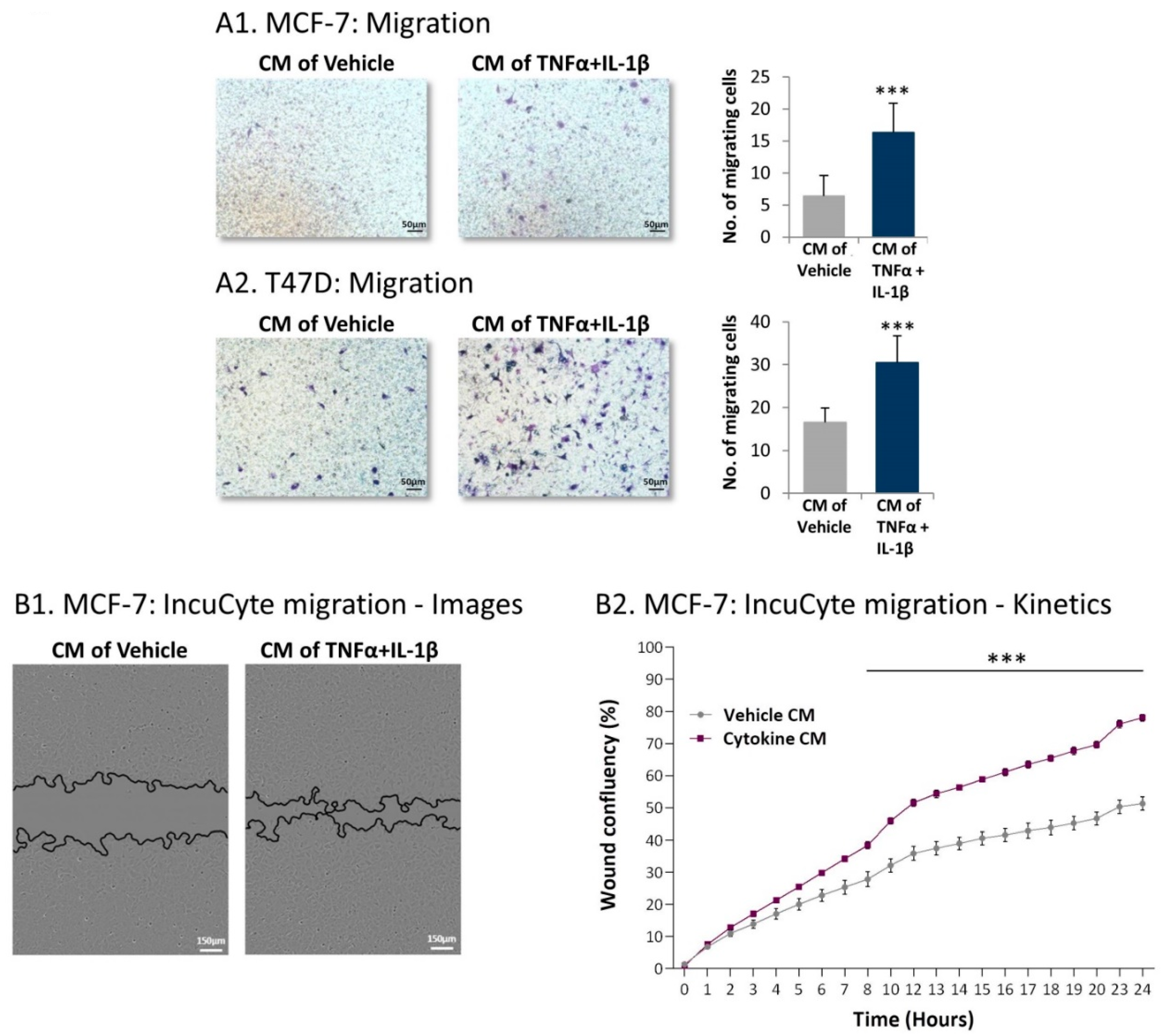 Cancers 13 01472 g009