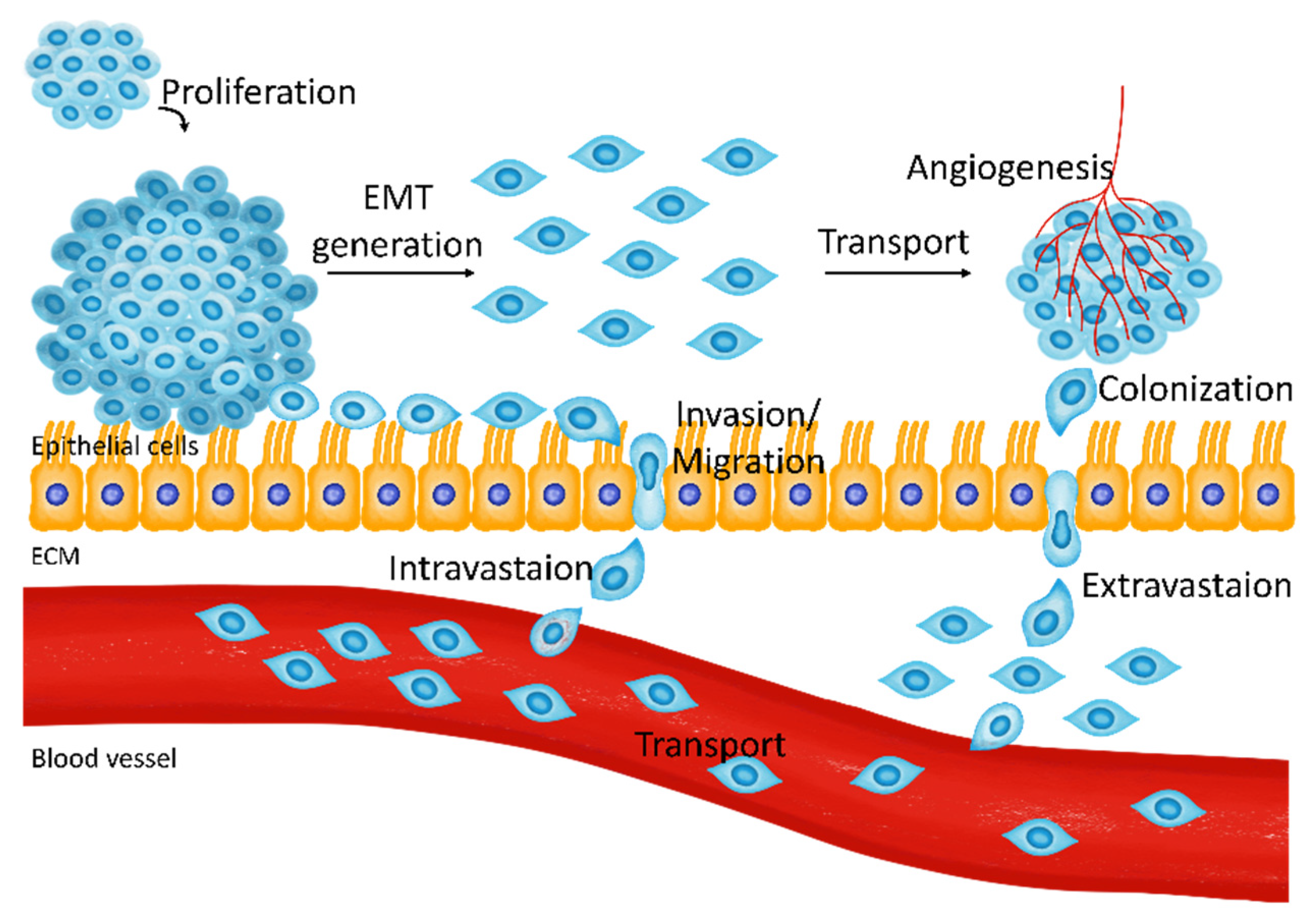 Cancers 13 01473 g001
