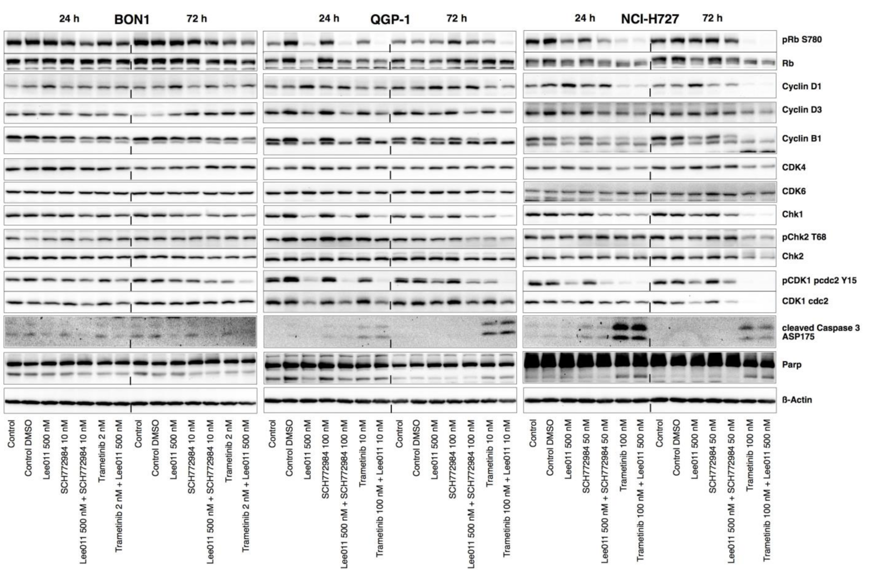 Cancers 13 01485 g004