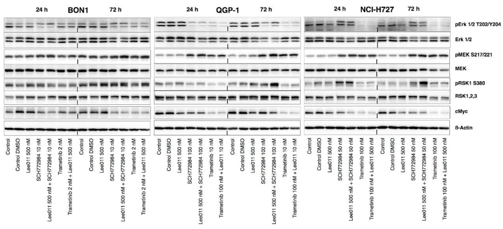 Cancers 13 01485 g005