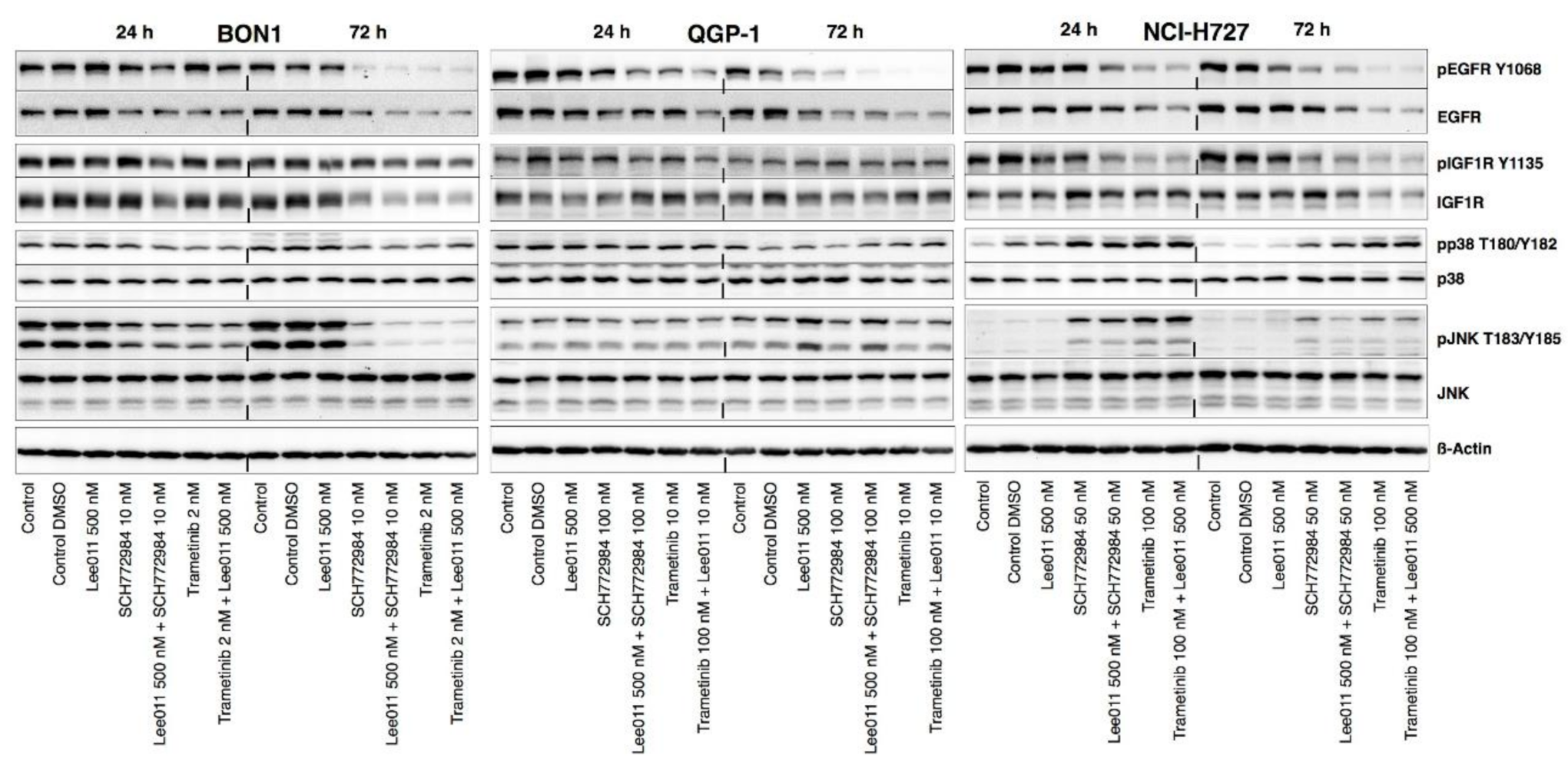 Cancers 13 01485 g006