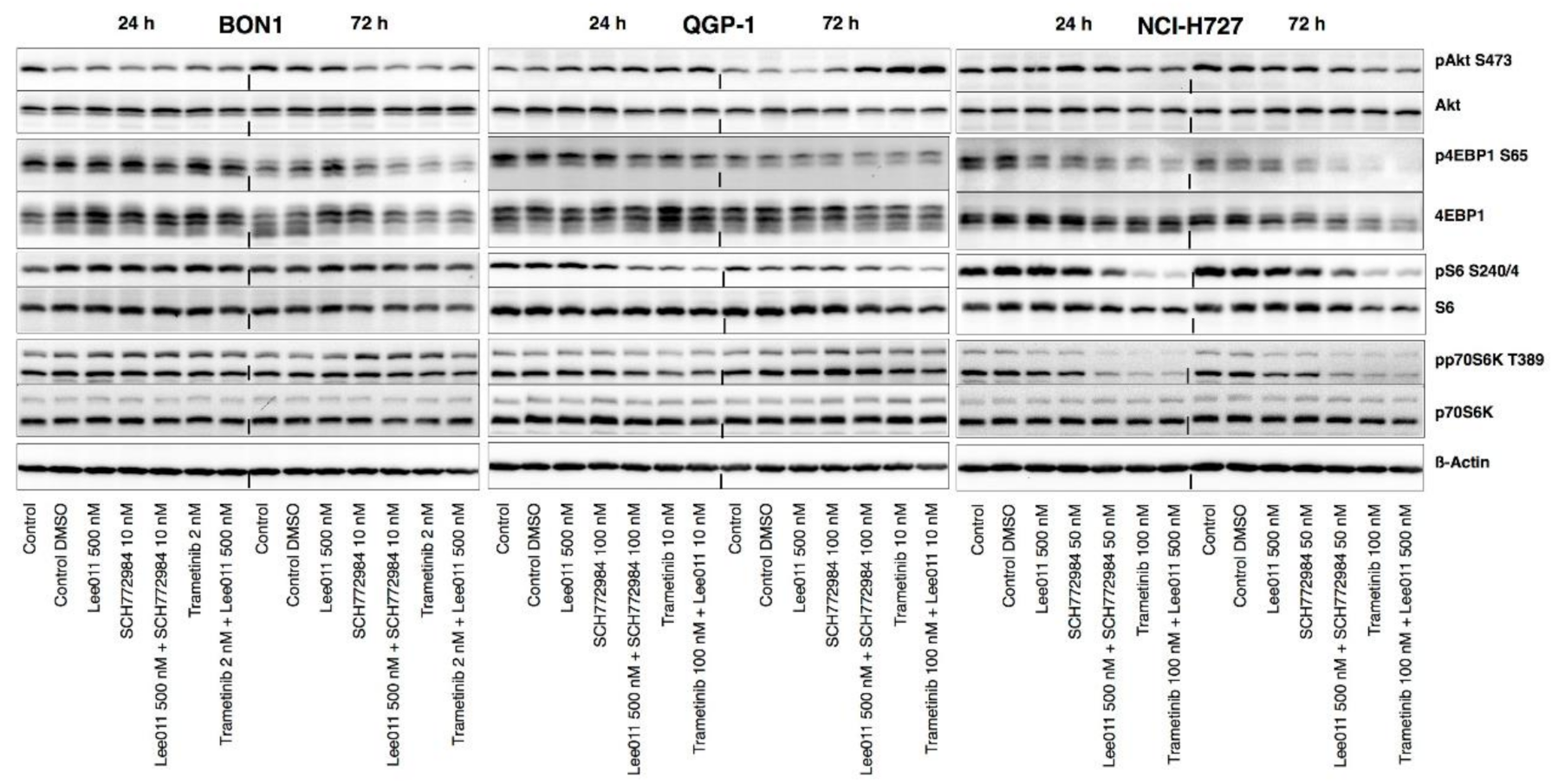 Cancers 13 01485 g007