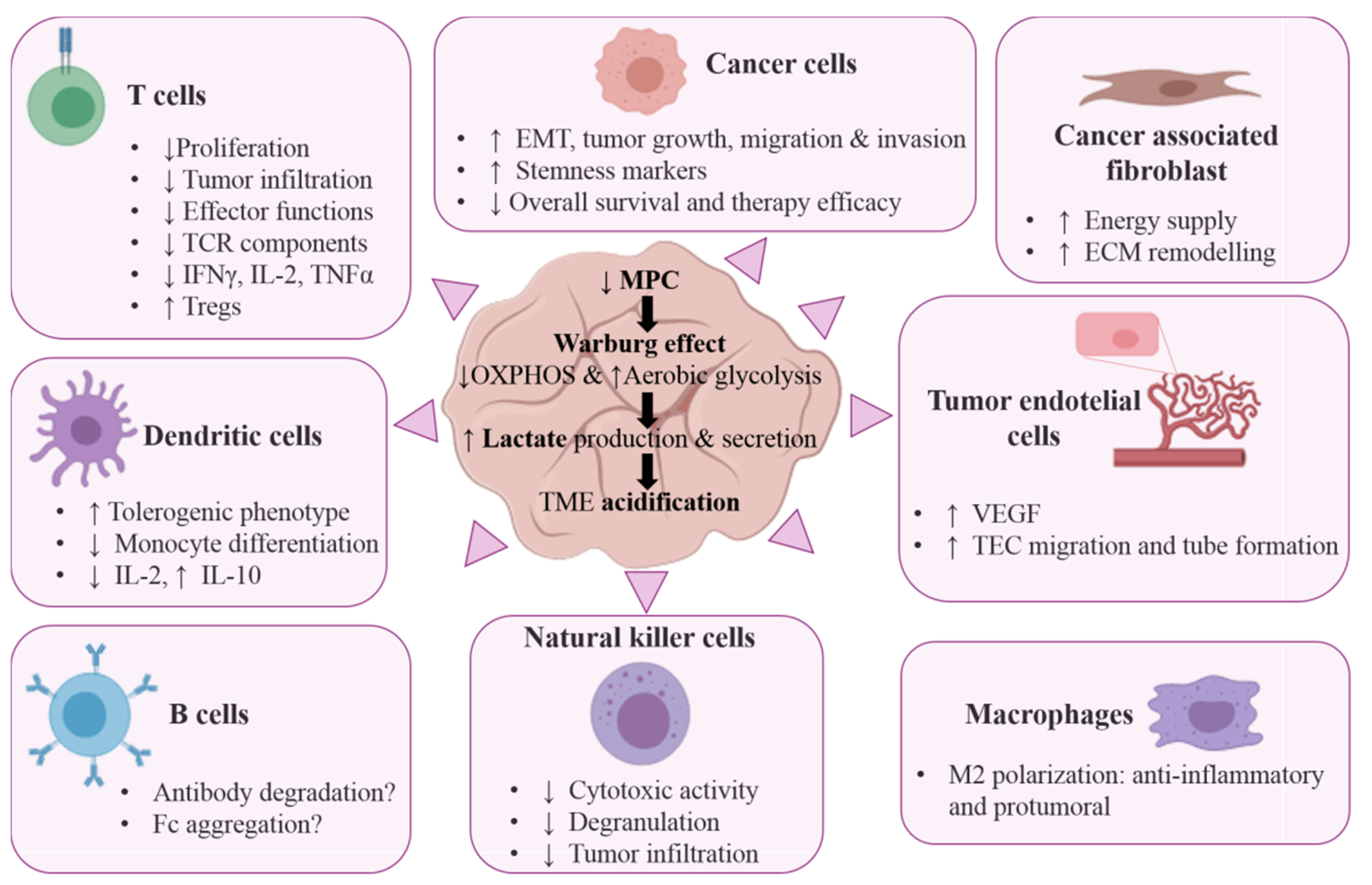 Cancers 13 01488 g002