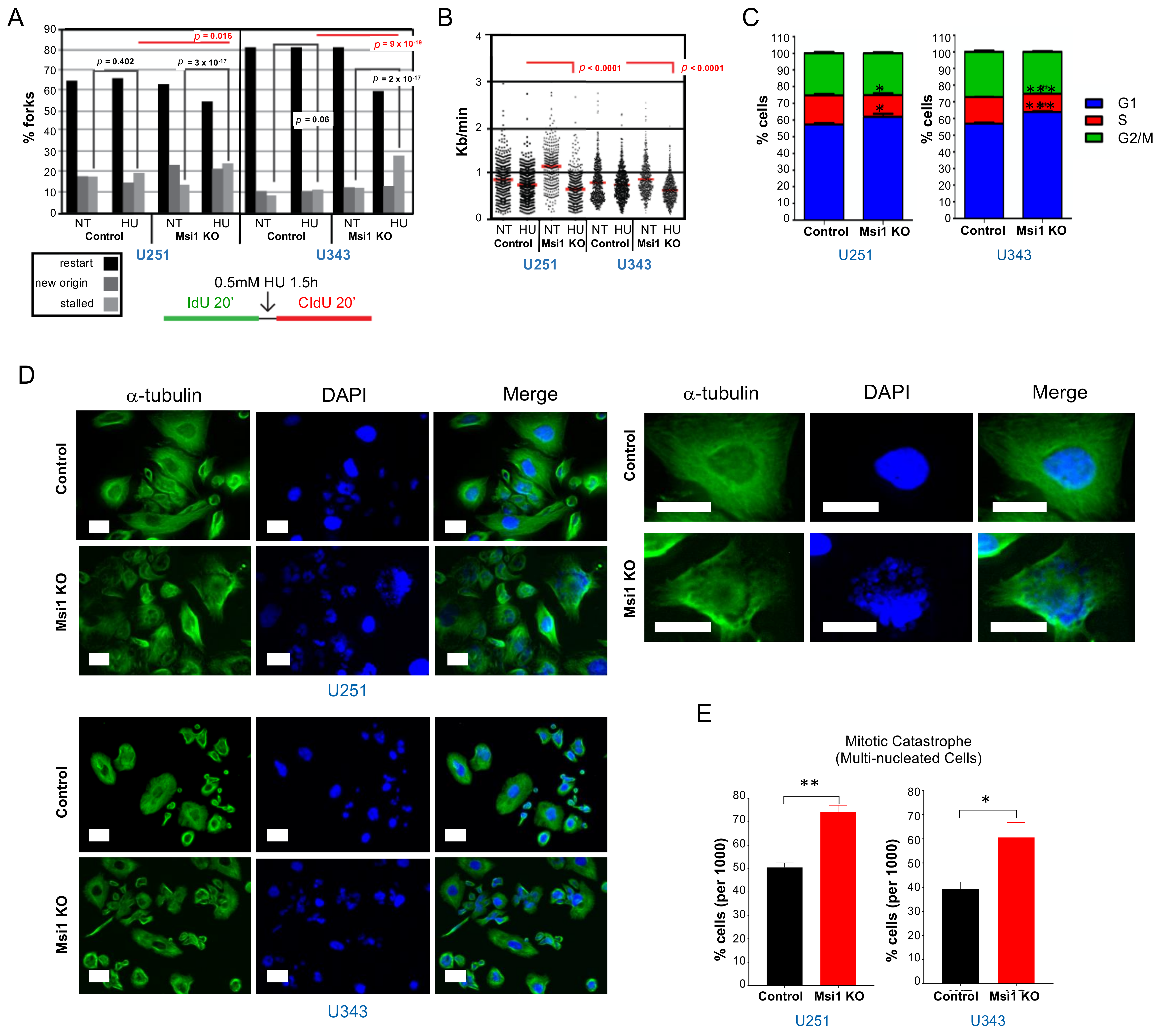 Cancers 13 01494 g004