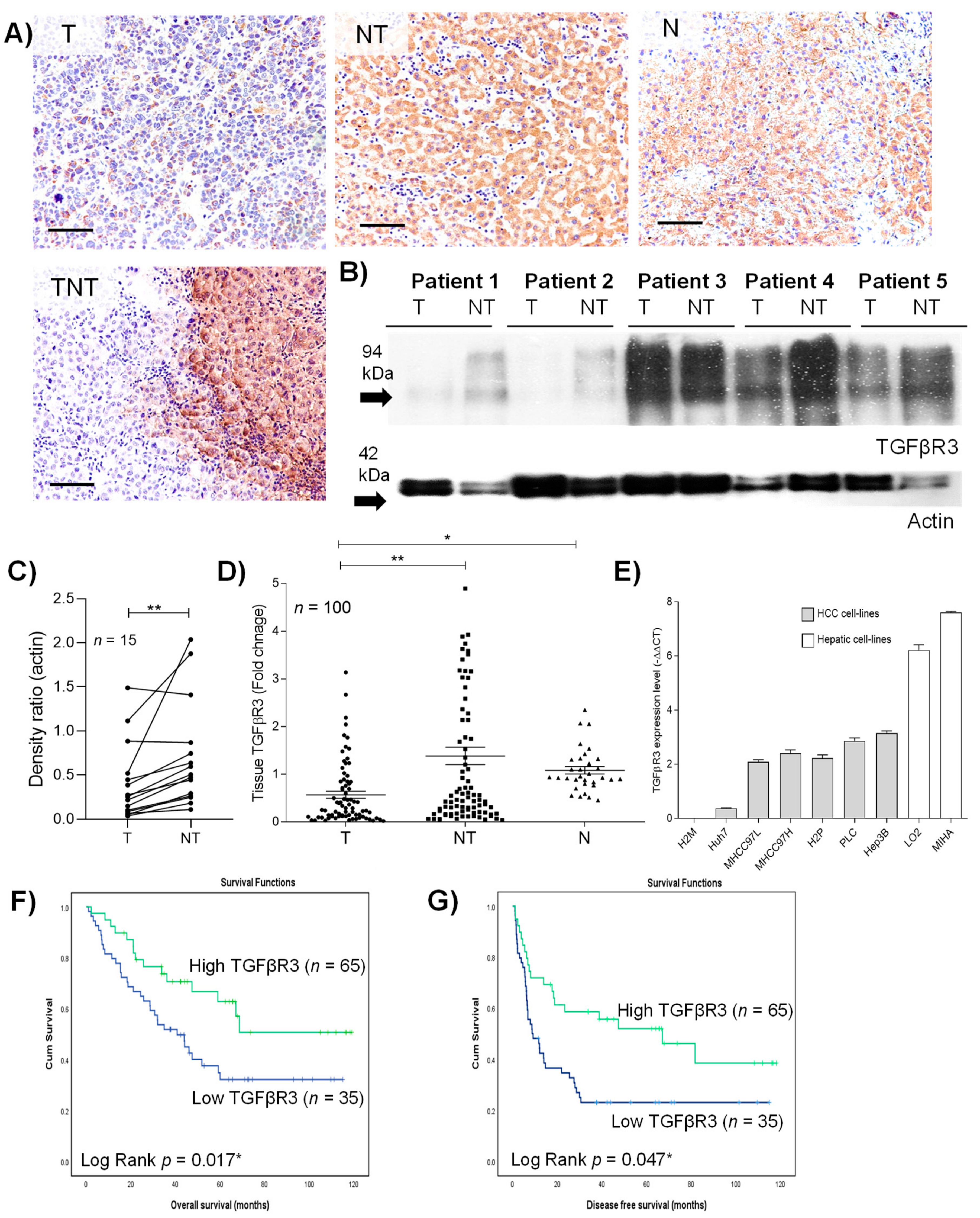 Cancers 13 01503 g001