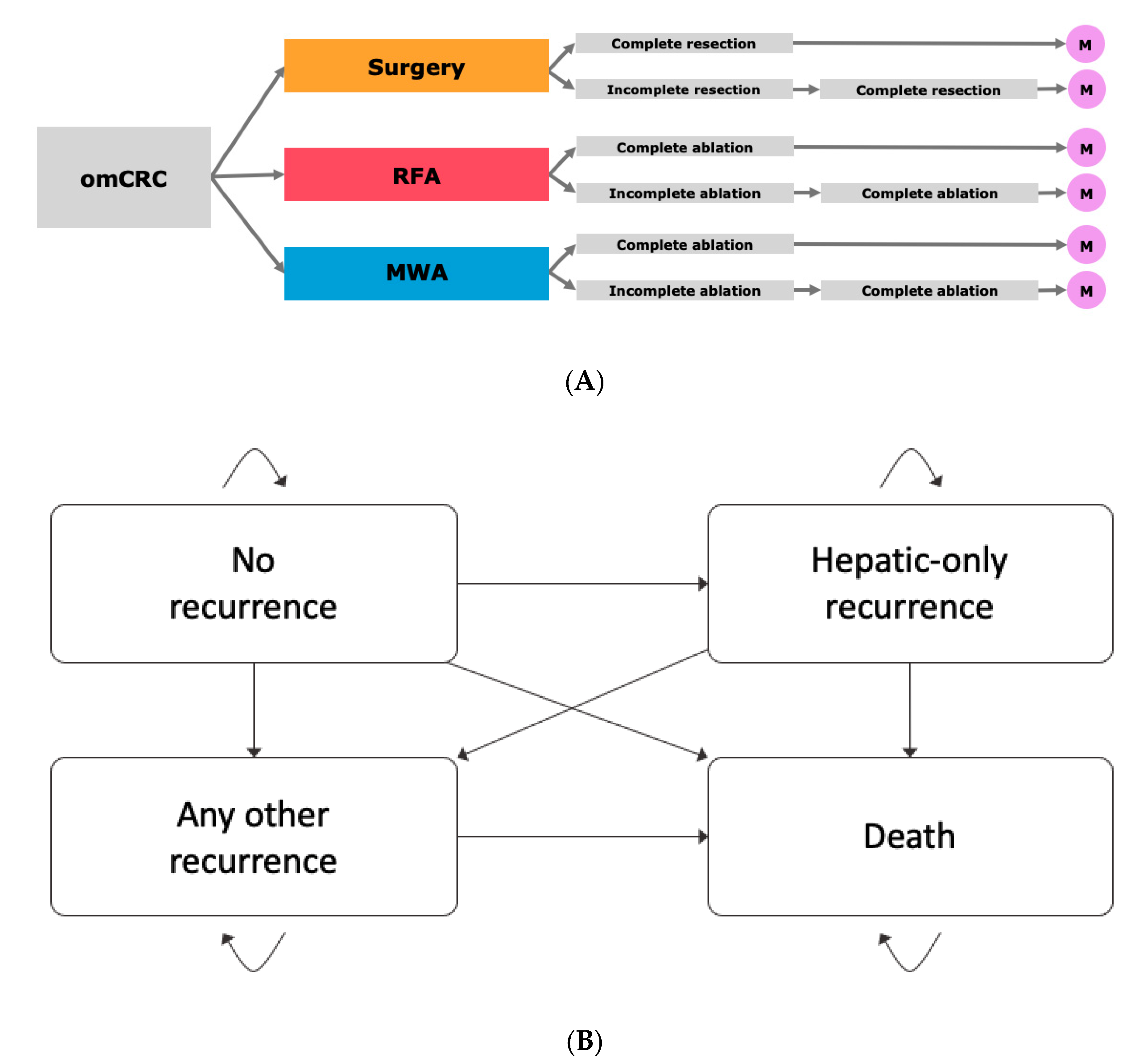 Cancers 13 01507 g004