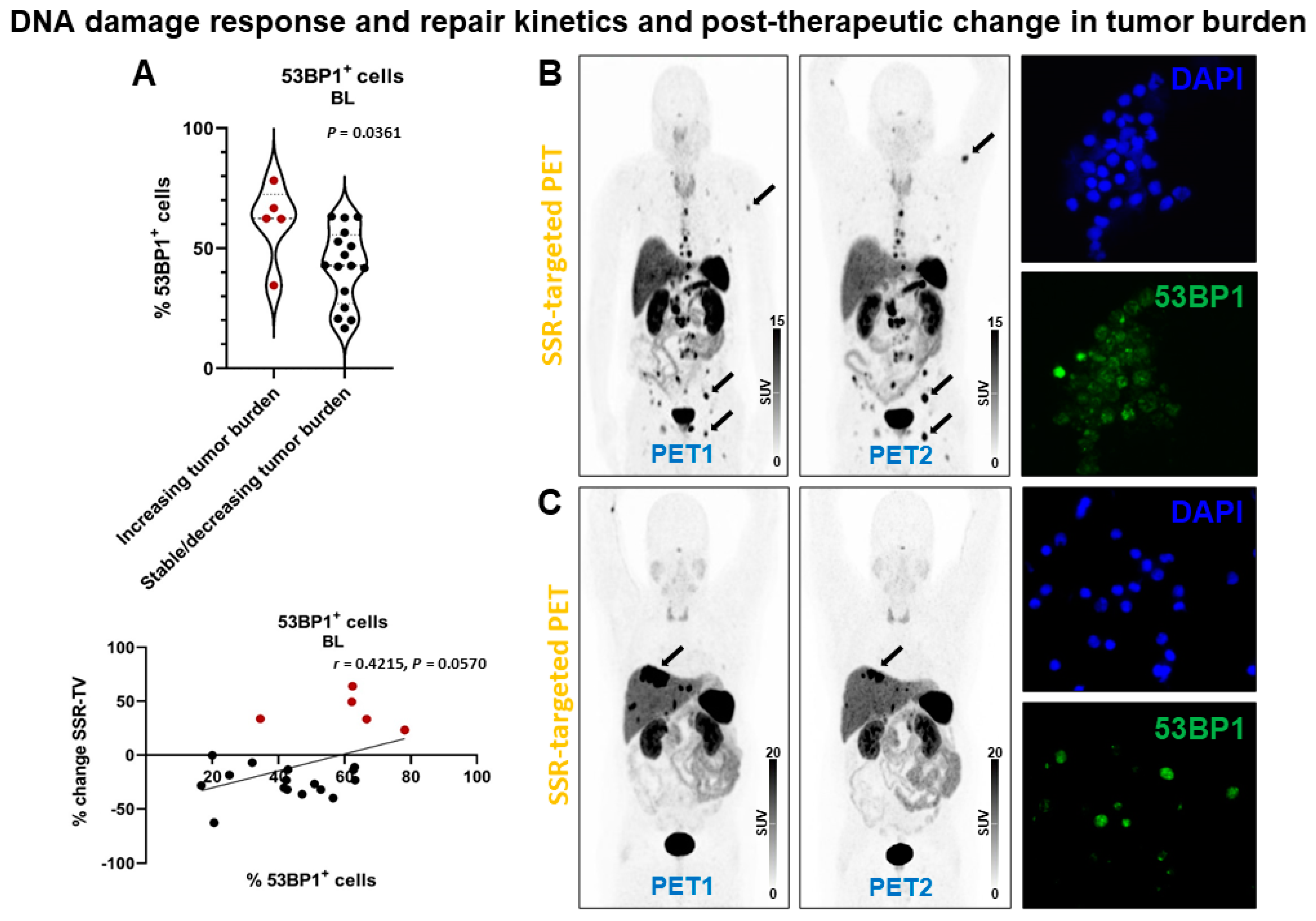 Cancers 13 01516 g005