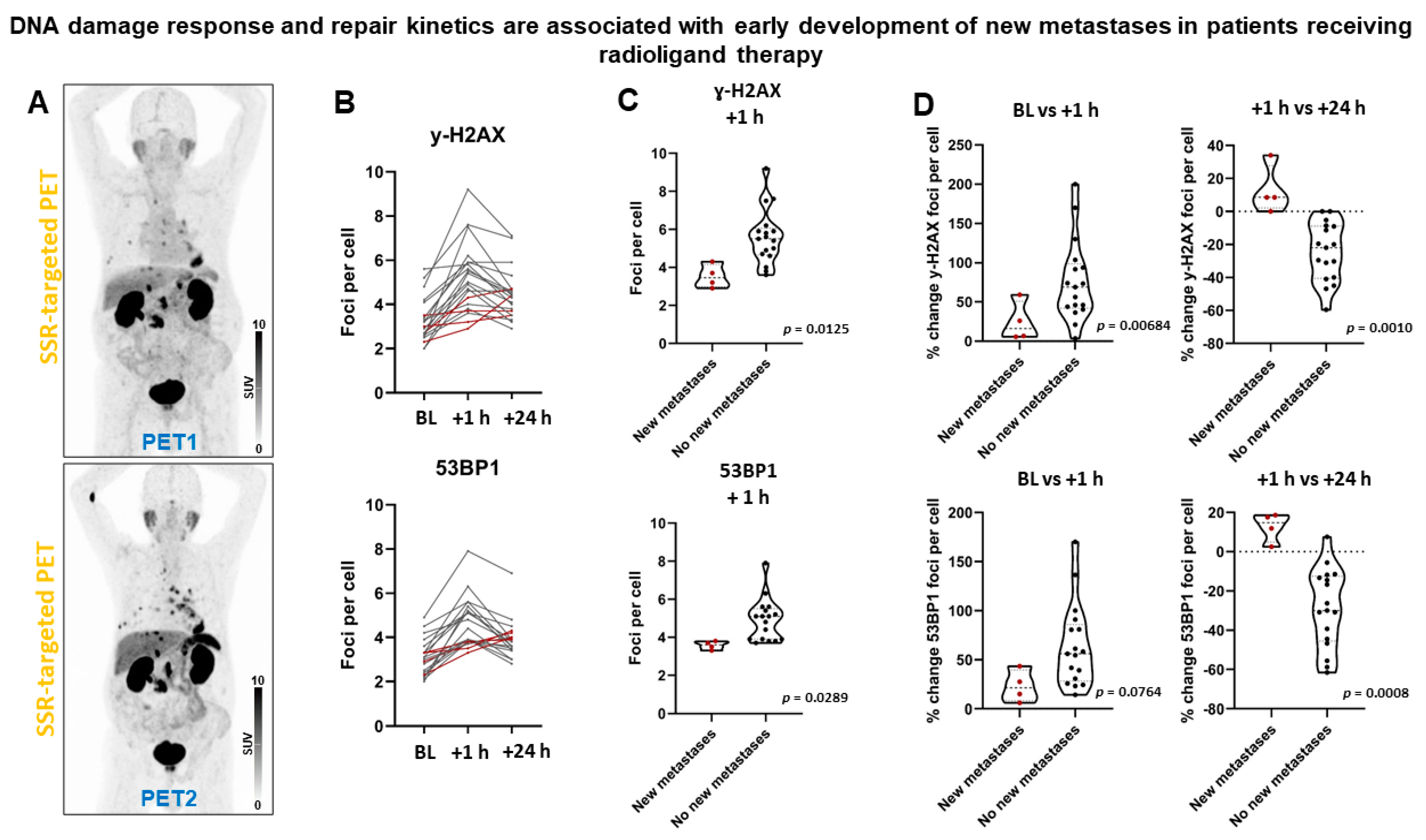 Cancers 13 01516 g006