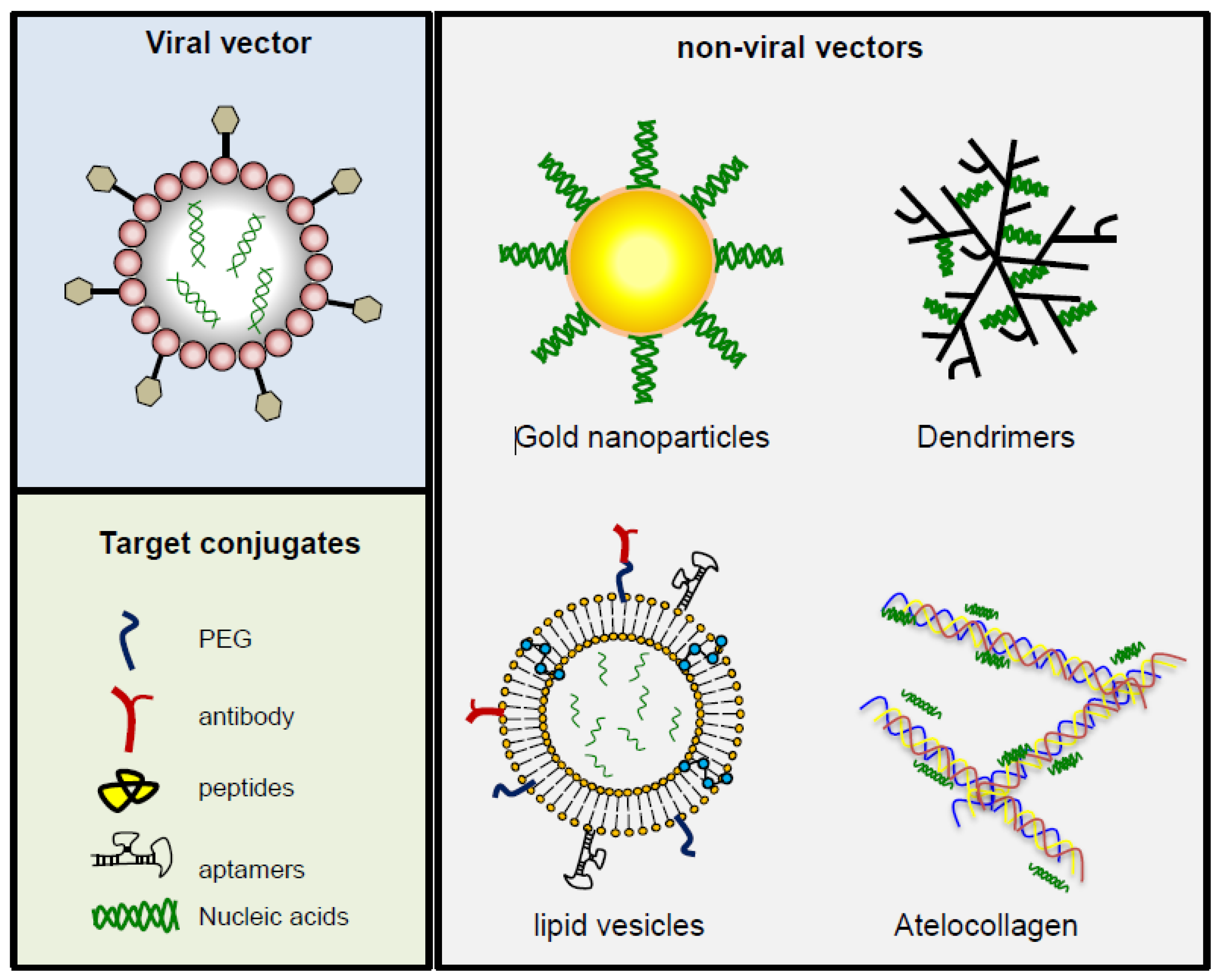 Cancers 13 01526 g002