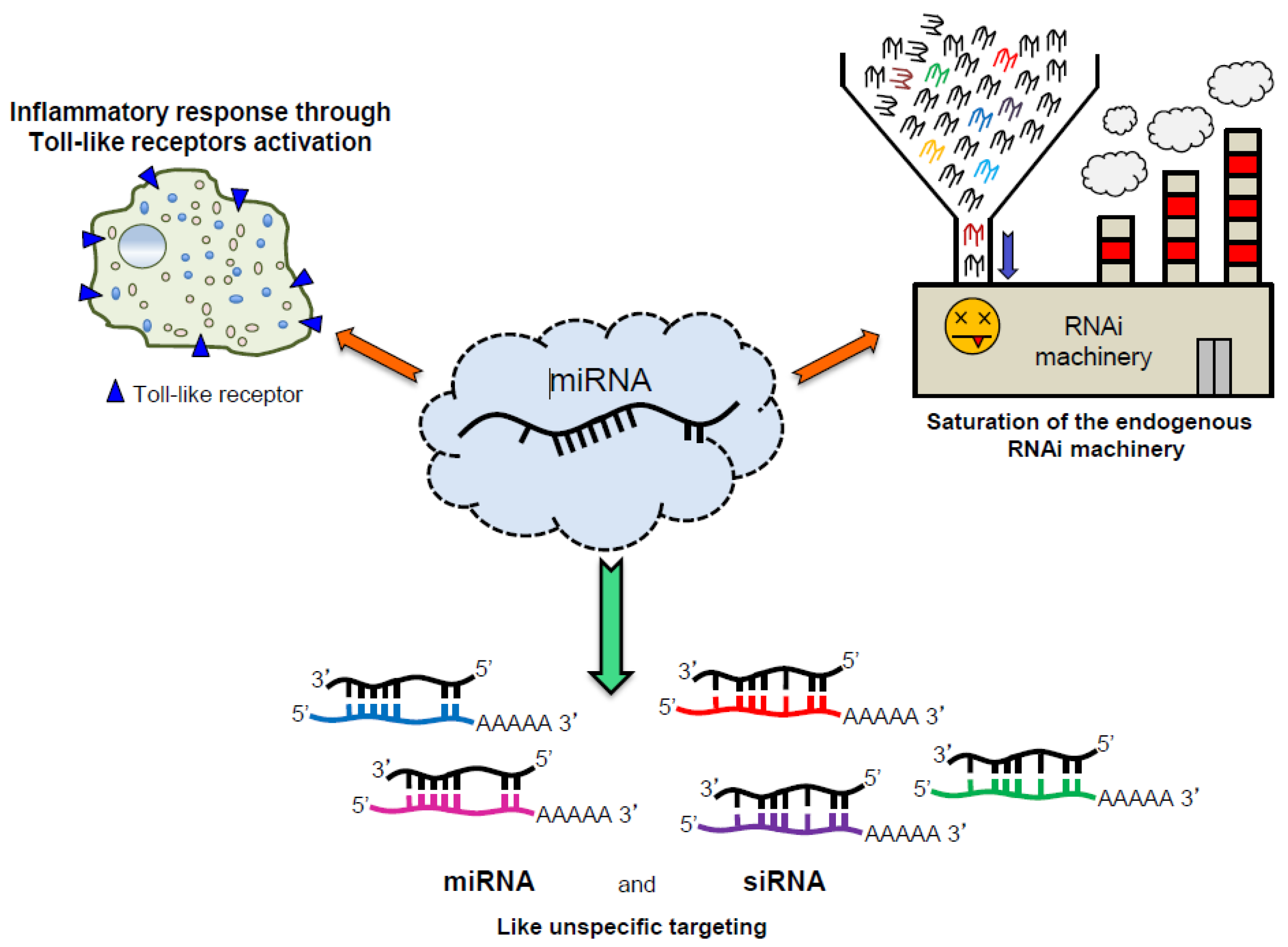 Cancers 13 01526 g003