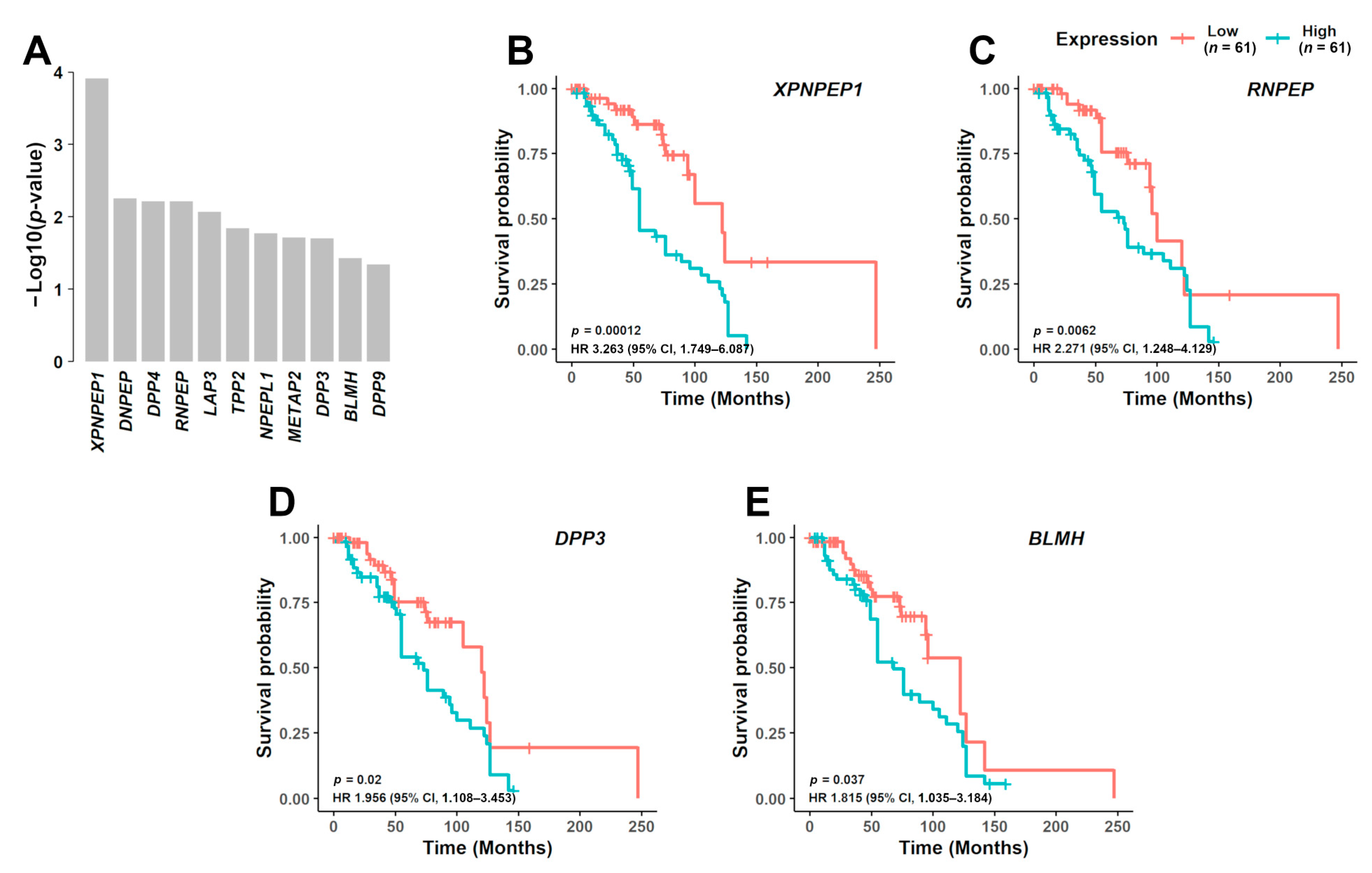 Cancers 13 01527 g003