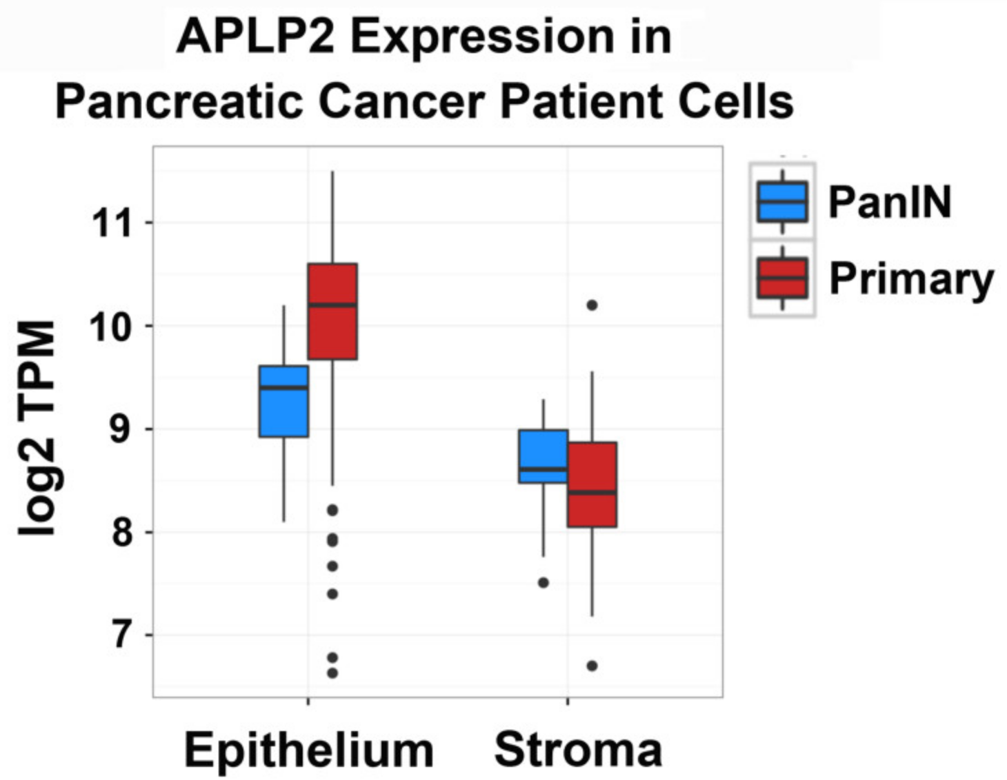 Cancers 13 01535 g001
