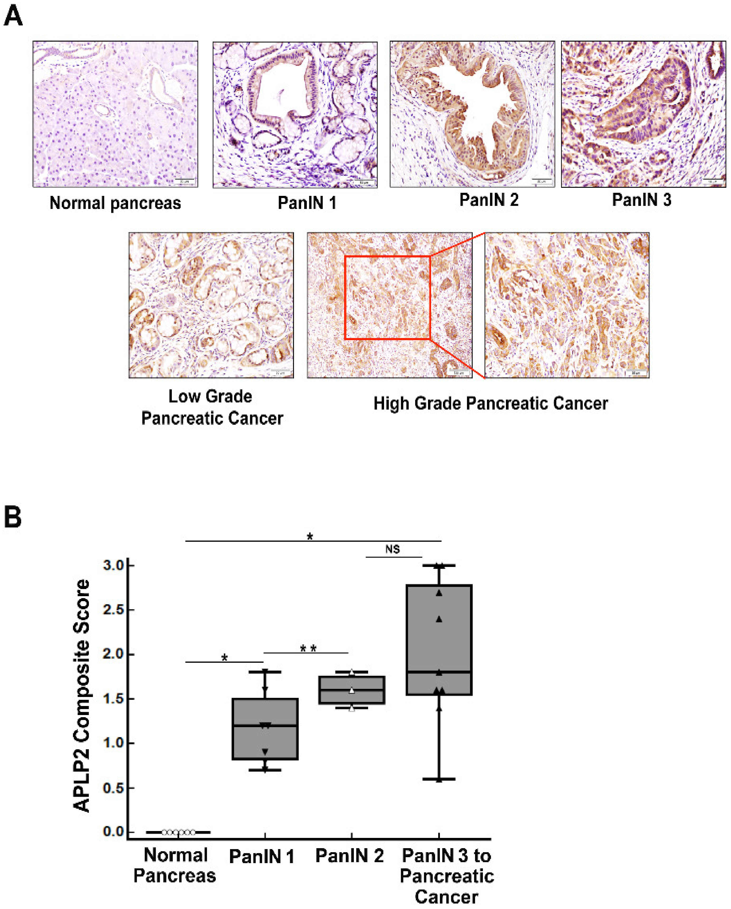 Cancers 13 01535 g002