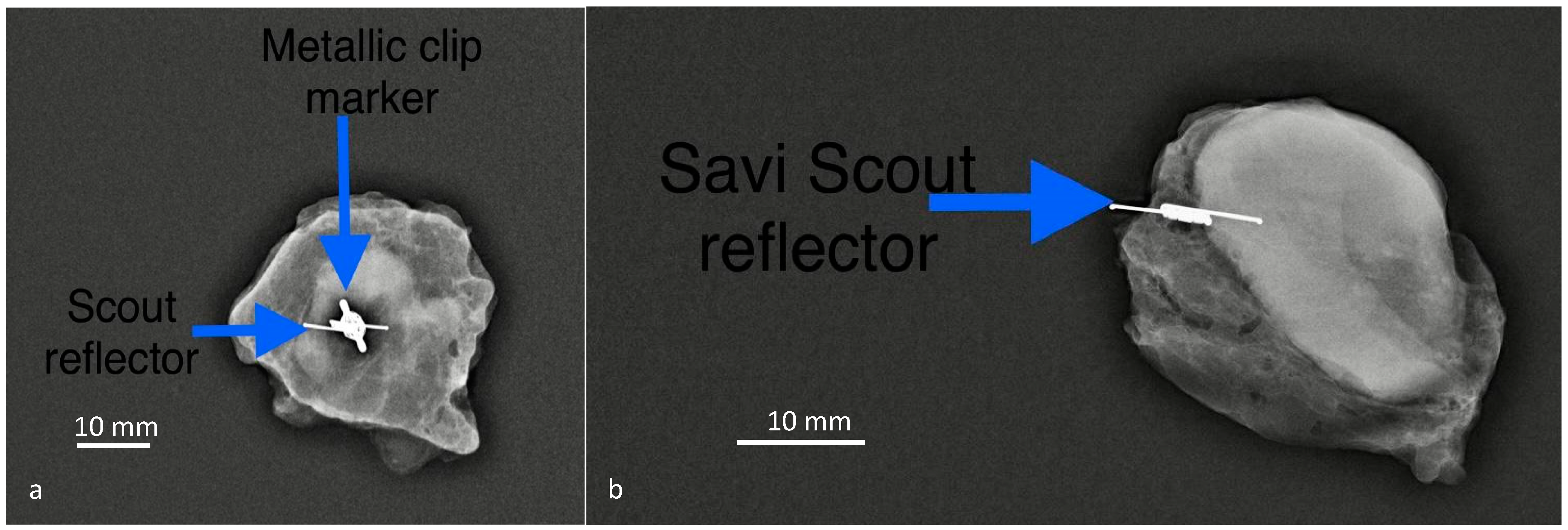 Cancers 13 01539 g002