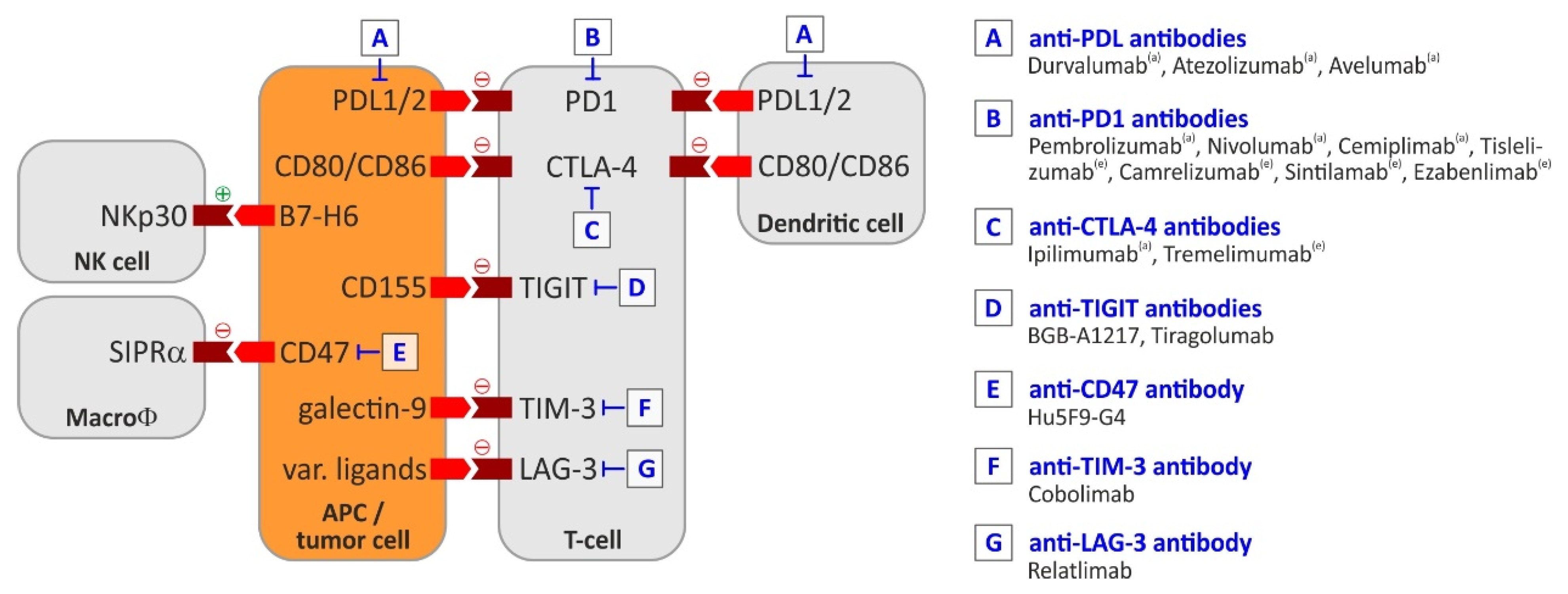 Cancers 13 01558 g002